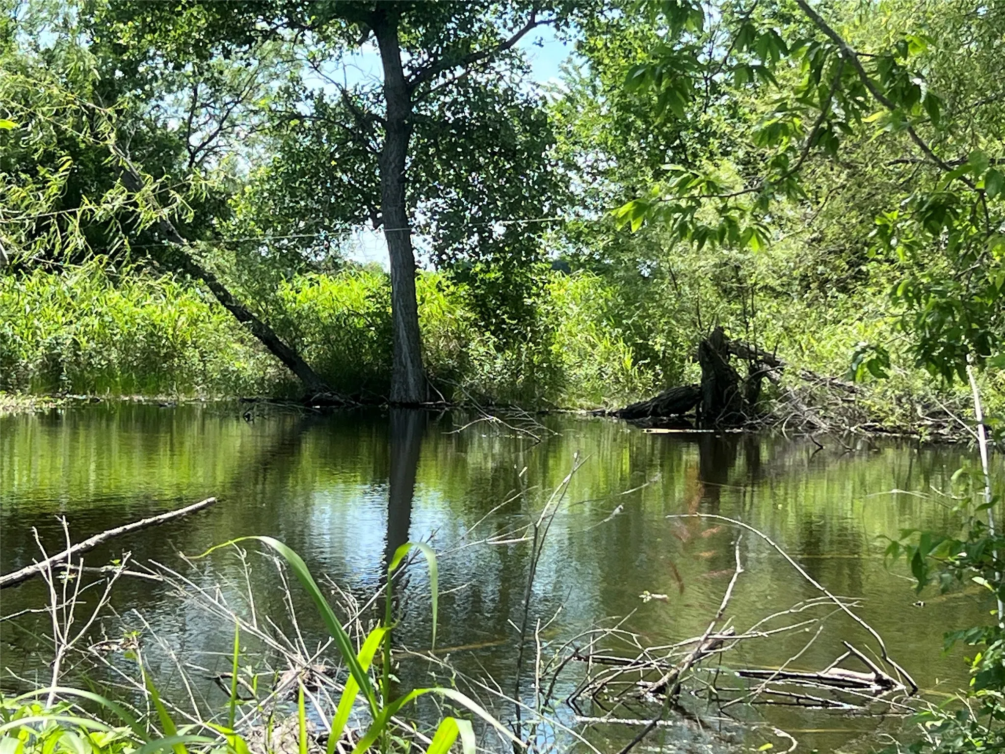 Unimproved Land For Sale in Hill County , Tbd HCR 1153, Blum, Texas 76627, 0, 0, Garage spaces, 0 Sqft, built in 0, mls#21257283, Real Estate Agent in Blum, Homes For Sale in Hill county, Homes For Sale in Blum, Realtor in Blum Texas, Real Estate Brokerage Independent Realty Texas, Luminita Cordes Realtor