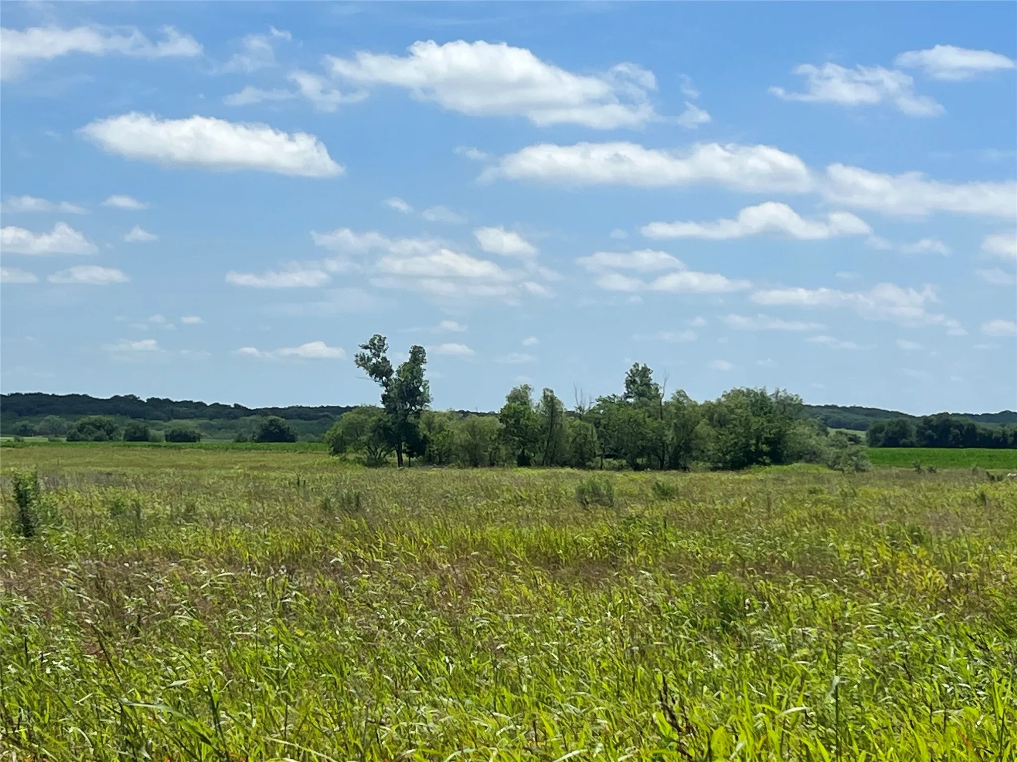 Unimproved Land For Sale in Hill County , Tbd HCR 1153, Blum, Texas 76627, 0, 0, Garage spaces, 0 Sqft, built in 0, mls#21257283, Real Estate Agent in Blum, Homes For Sale in Hill county, Homes For Sale in Blum, Realtor in Blum Texas, Real Estate Brokerage Independent Realty Texas, Luminita Cordes Realtor