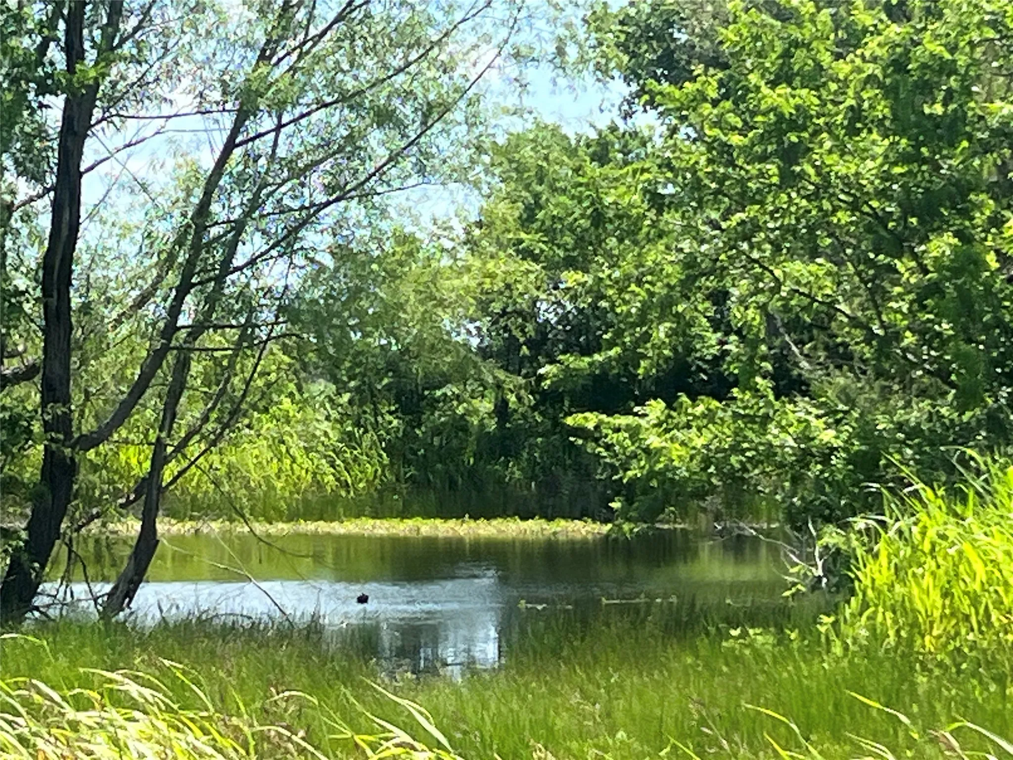 Unimproved Land For Sale in Hill County , Tbd HCR 1153, Blum, Texas 76627, 0, 0, Garage spaces, 0 Sqft, built in 0, mls#21257283, Real Estate Agent in Blum, Homes For Sale in Hill county, Homes For Sale in Blum, Realtor in Blum Texas, Real Estate Brokerage Independent Realty Texas, Luminita Cordes Realtor