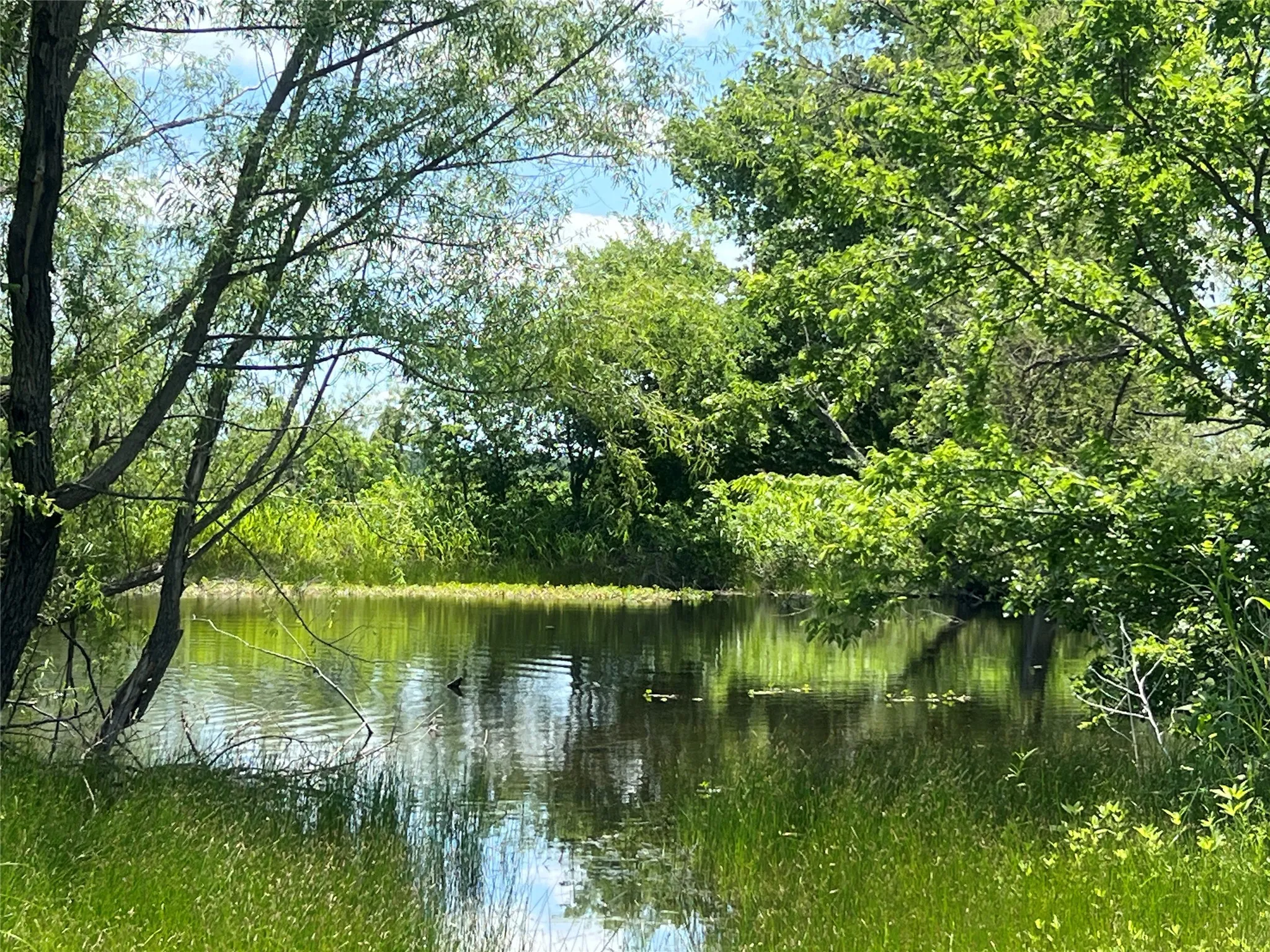 Unimproved Land For Sale in Hill County , Tbd HCR 1153, Blum, Texas 76627, 0, 0, Garage spaces, 0 Sqft, built in 0, mls#21257283, Real Estate Agent in Blum, Homes For Sale in Hill county, Homes For Sale in Blum, Realtor in Blum Texas, Real Estate Brokerage Independent Realty Texas, Luminita Cordes Realtor