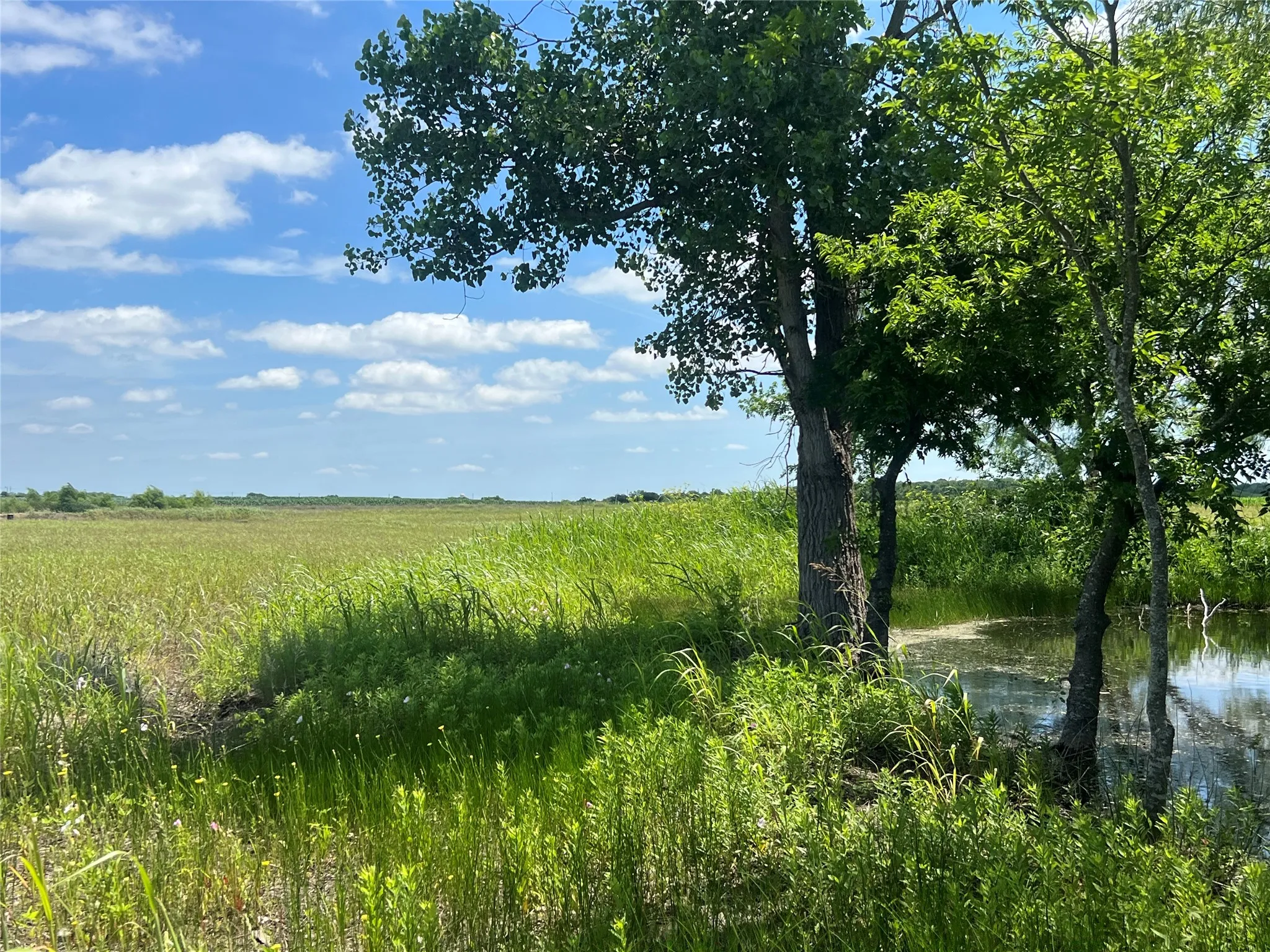 Unimproved Land For Sale in Hill County , Tbd HCR 1153, Blum, Texas 76627, 0, 0, Garage spaces, 0 Sqft, built in 0, mls#21257283, Real Estate Agent in Blum, Homes For Sale in Hill county, Homes For Sale in Blum, Realtor in Blum Texas, Real Estate Brokerage Independent Realty Texas, Luminita Cordes Realtor