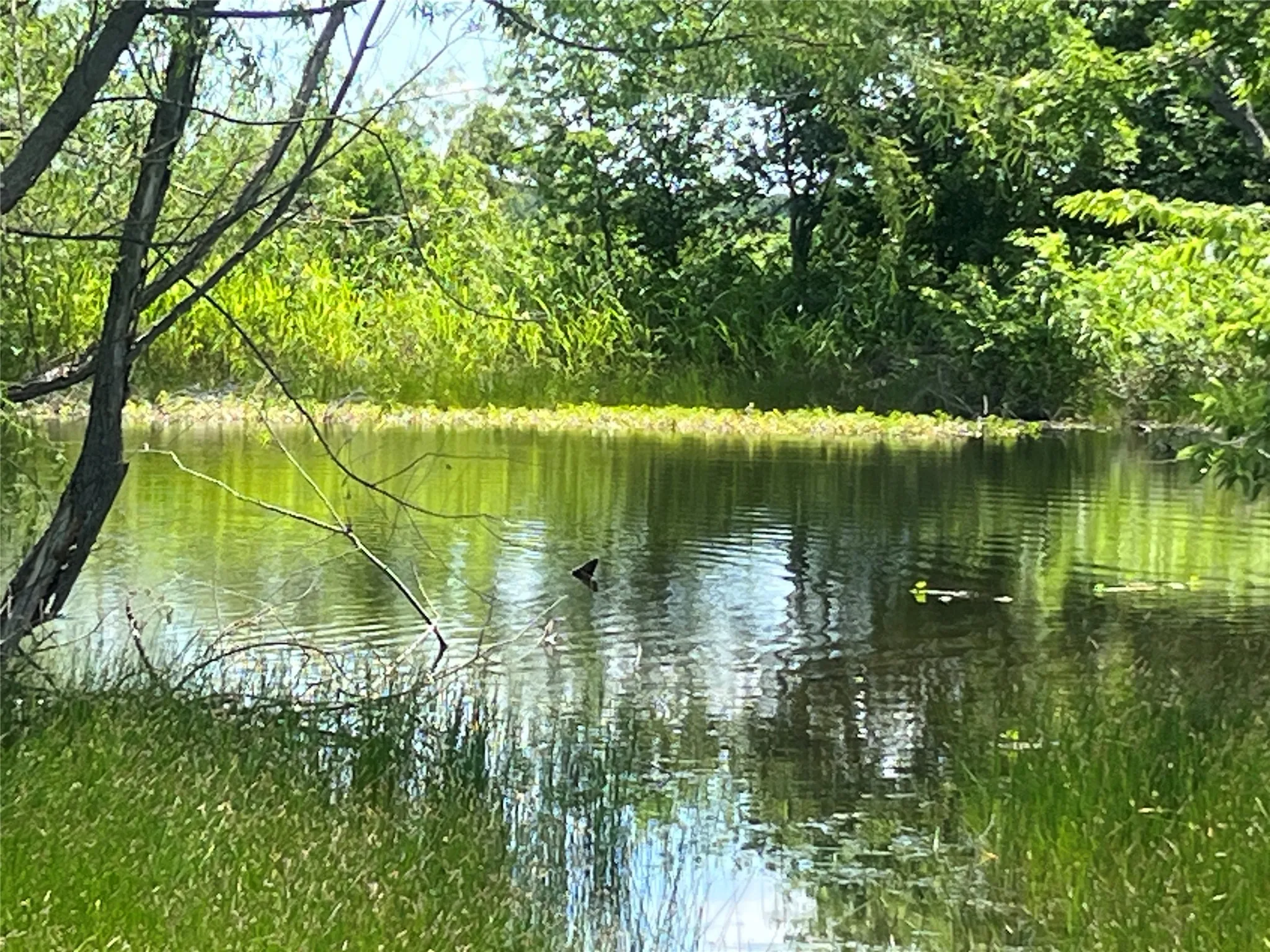 Unimproved Land For Sale in Hill County , Tbd HCR 1153, Blum, Texas 76627, 0, 0, Garage spaces, 0 Sqft, built in 0, mls#21257283, Real Estate Agent in Blum, Homes For Sale in Hill county, Homes For Sale in Blum, Realtor in Blum Texas, Real Estate Brokerage Independent Realty Texas, Luminita Cordes Realtor