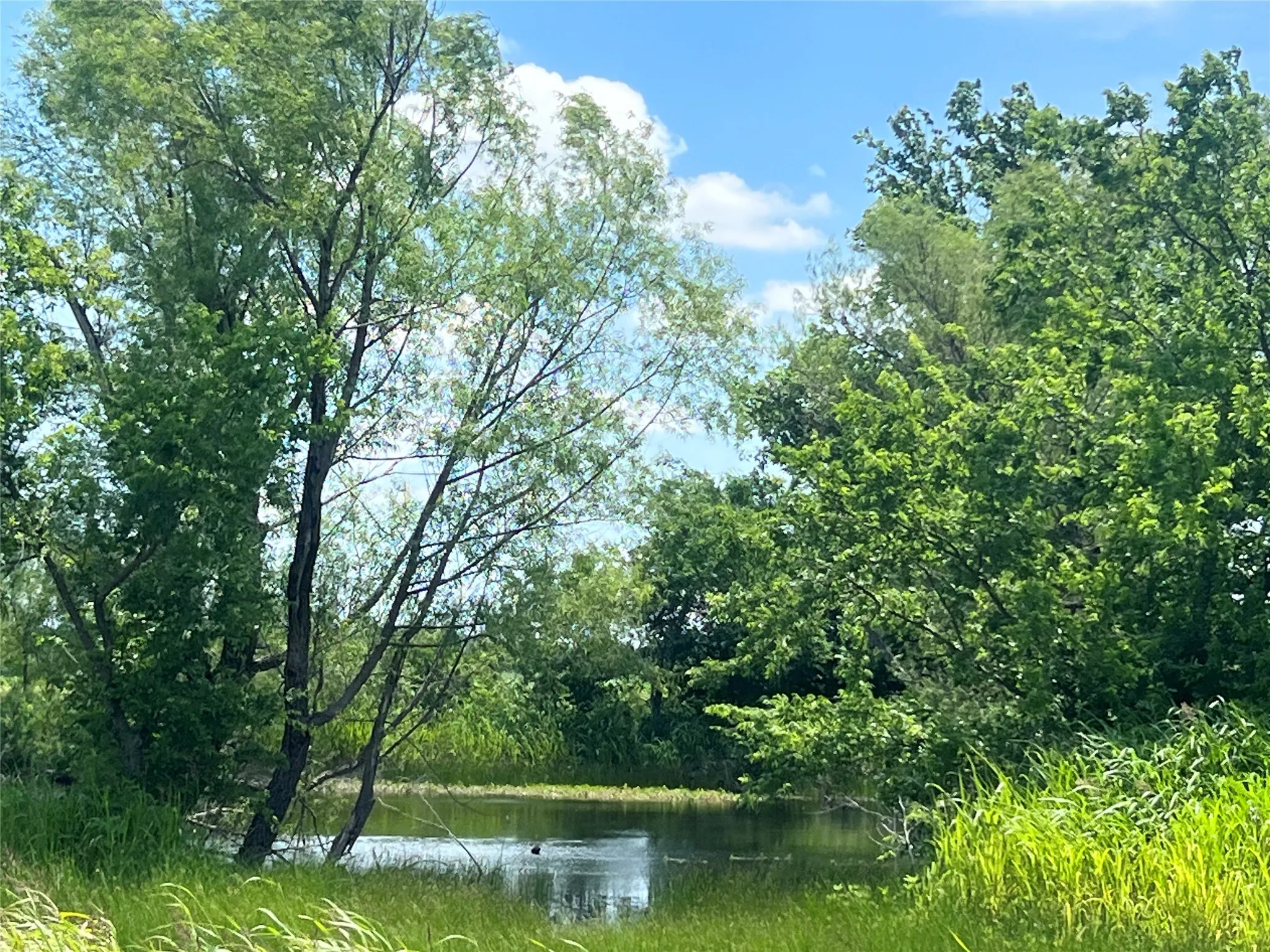 Unimproved Land For Sale in Hill County , Tbd HCR 1153, Blum, Texas 76627, 0, 0, Garage spaces, 0 Sqft, built in 0, mls#21257283, Real Estate Agent in Blum, Homes For Sale in Hill county, Homes For Sale in Blum, Realtor in Blum Texas, Real Estate Brokerage Independent Realty Texas, Luminita Cordes Realtor
