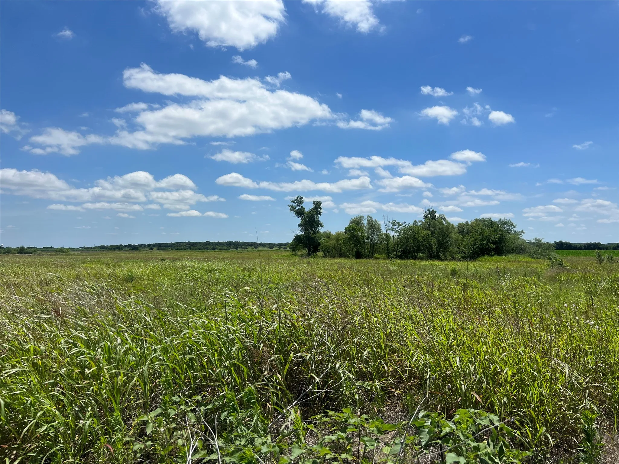 Unimproved Land For Sale in Hill County , Tbd HCR 1153, Blum, Texas 76627, 0, 0, Garage spaces, 0 Sqft, built in 0, mls#21257283, Real Estate Agent in Blum, Homes For Sale in Hill county, Homes For Sale in Blum, Realtor in Blum Texas, Real Estate Brokerage Independent Realty Texas, Luminita Cordes Realtor