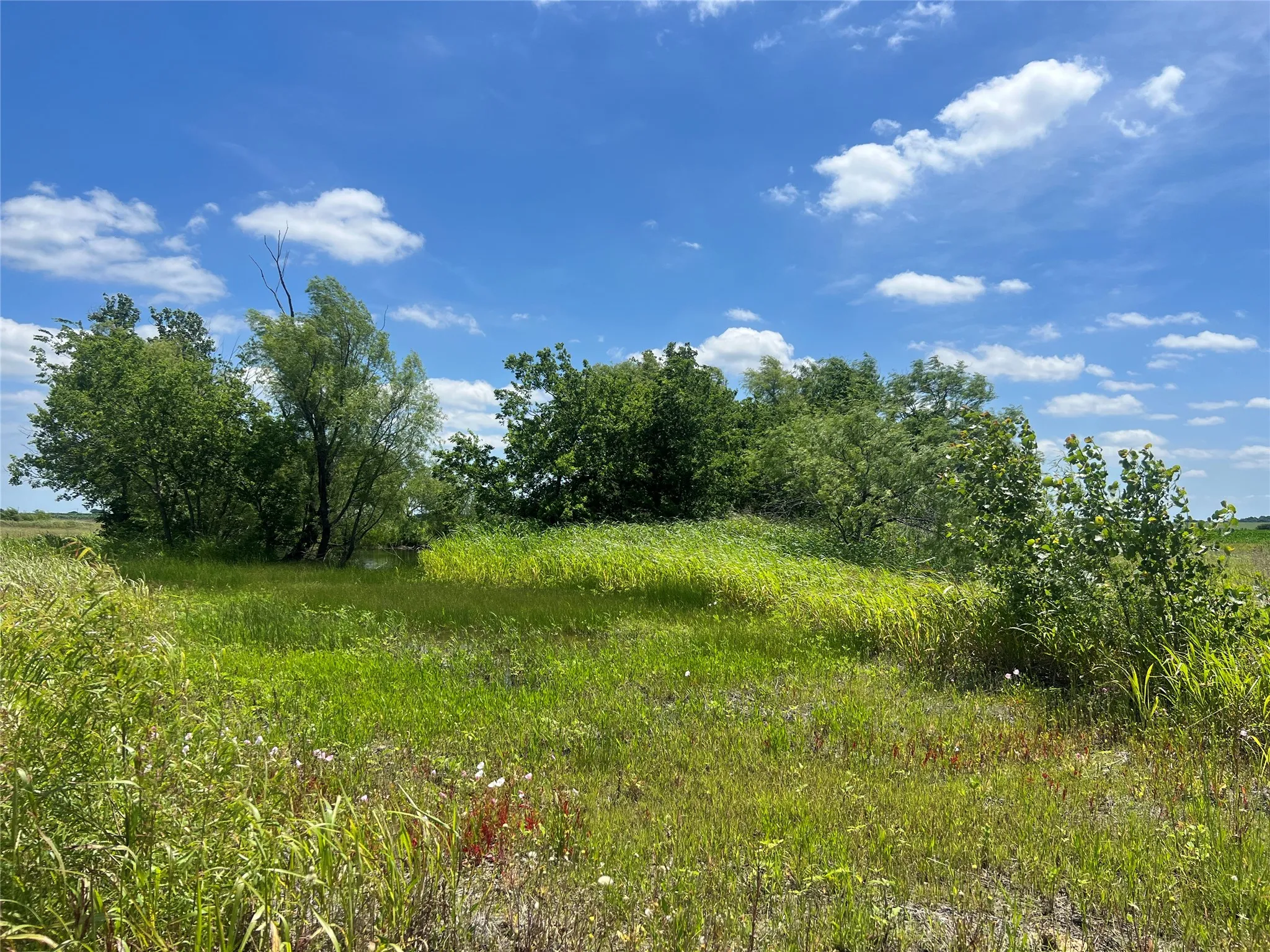 Unimproved Land For Sale in Hill County , Tbd HCR 1153, Blum, Texas 76627, 0, 0, Garage spaces, 0 Sqft, built in 0, mls#21257283, Real Estate Agent in Blum, Homes For Sale in Hill county, Homes For Sale in Blum, Realtor in Blum Texas, Real Estate Brokerage Independent Realty Texas, Luminita Cordes Realtor