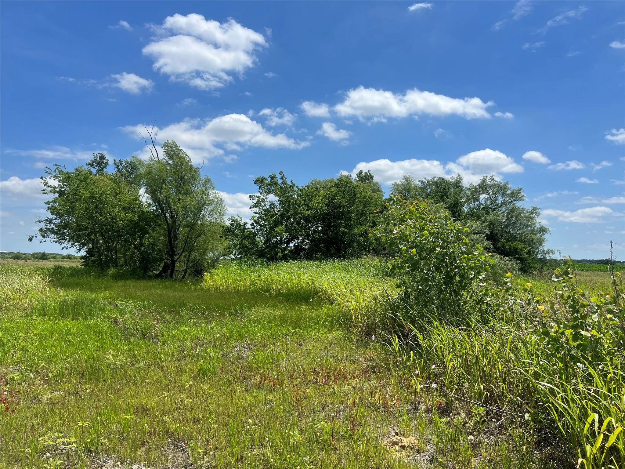Unimproved Land For Sale in Hill County , Tbd HCR 1153, Blum, Texas 76627, 0, 0, Garage spaces, 0 Sqft, built in 0, mls#21257283, Real Estate Agent in Blum, Homes For Sale in Hill county, Homes For Sale in Blum, Realtor in Blum Texas, Real Estate Brokerage Independent Realty Texas, Luminita Cordes Realtor