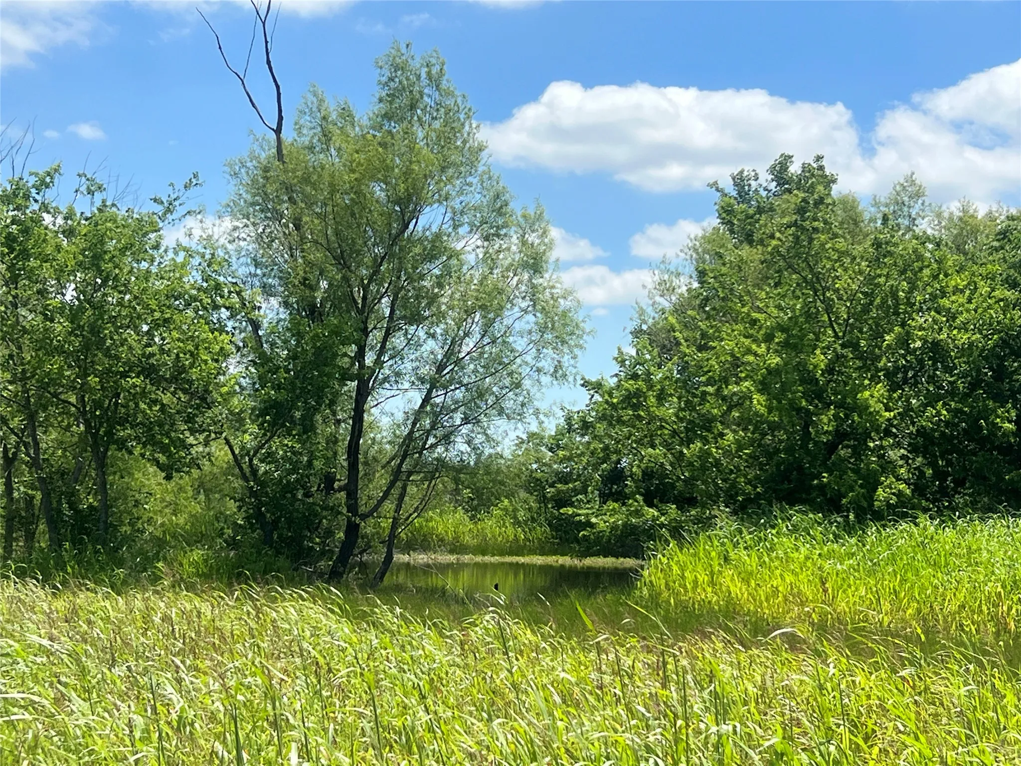 Unimproved Land For Sale in Hill County , Tbd HCR 1153, Blum, Texas 76627, 0, 0, Garage spaces, 0 Sqft, built in 0, mls#21257283, Real Estate Agent in Blum, Homes For Sale in Hill county, Homes For Sale in Blum, Realtor in Blum Texas, Real Estate Brokerage Independent Realty Texas, Luminita Cordes Realtor