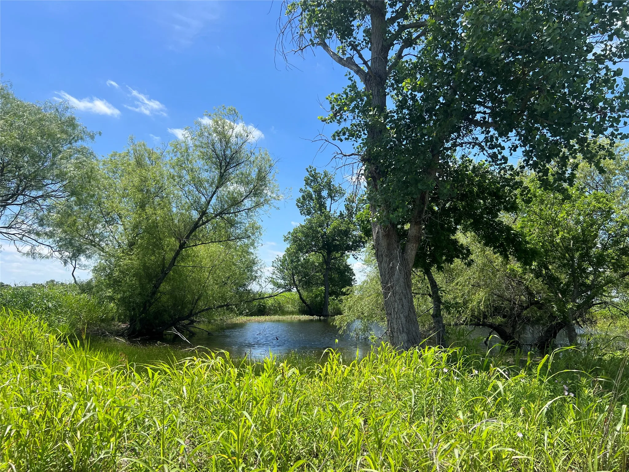 Unimproved Land For Sale in Hill County , Tbd HCR 1153, Blum, Texas 76627, 0, 0, Garage spaces, 0 Sqft, built in 0, mls#21257283, Real Estate Agent in Blum, Homes For Sale in Hill county, Homes For Sale in Blum, Realtor in Blum Texas, Real Estate Brokerage Independent Realty Texas, Luminita Cordes Realtor