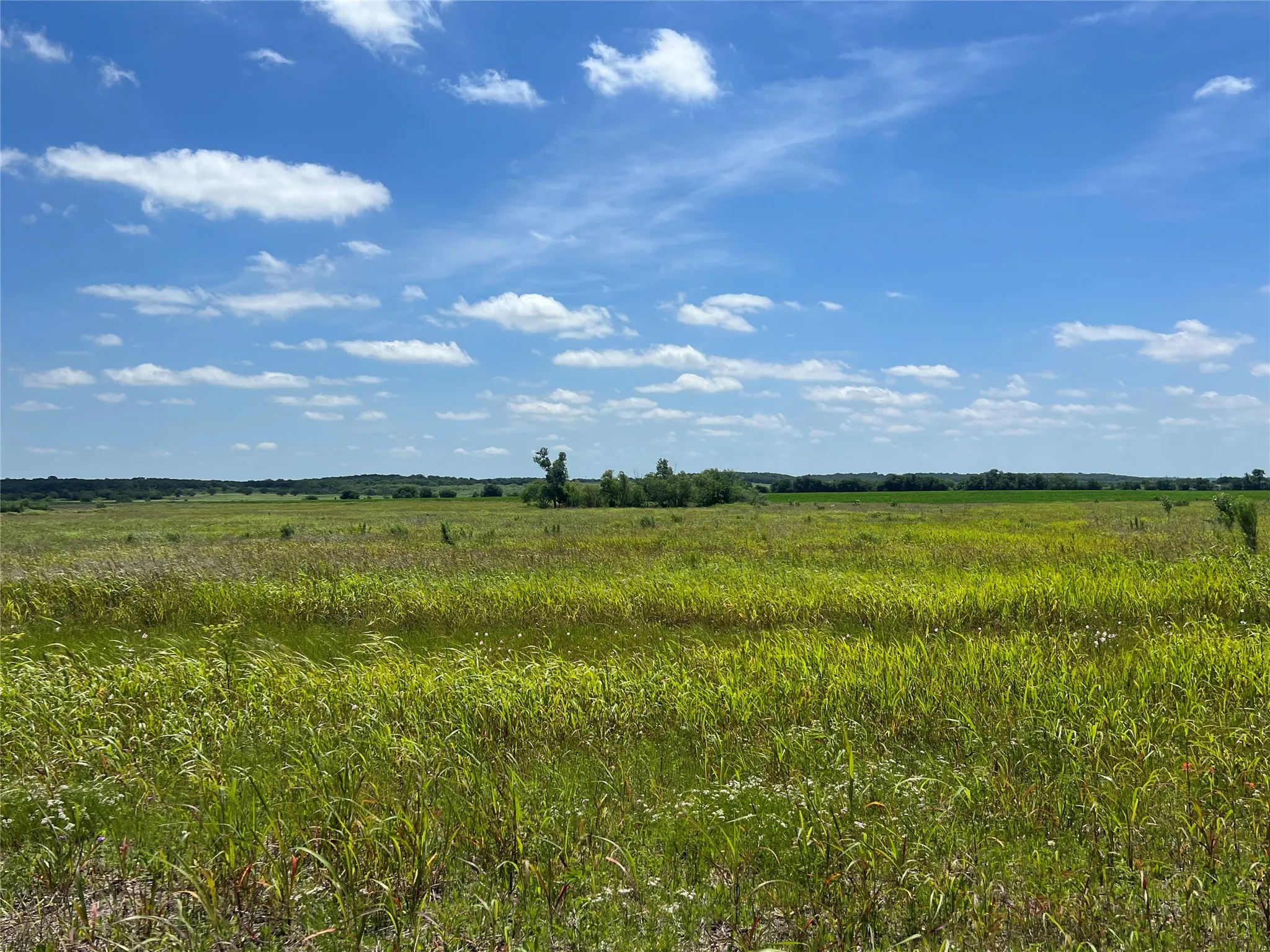 Unimproved Land For Sale in Hill County , Tbd HCR 1153, Blum, Texas 76627, 0, 0, Garage spaces, 0 Sqft, built in 0, mls#21257283, Real Estate Agent in Blum, Homes For Sale in Hill county, Homes For Sale in Blum, Realtor in Blum Texas, Real Estate Brokerage Independent Realty Texas, Luminita Cordes Realtor