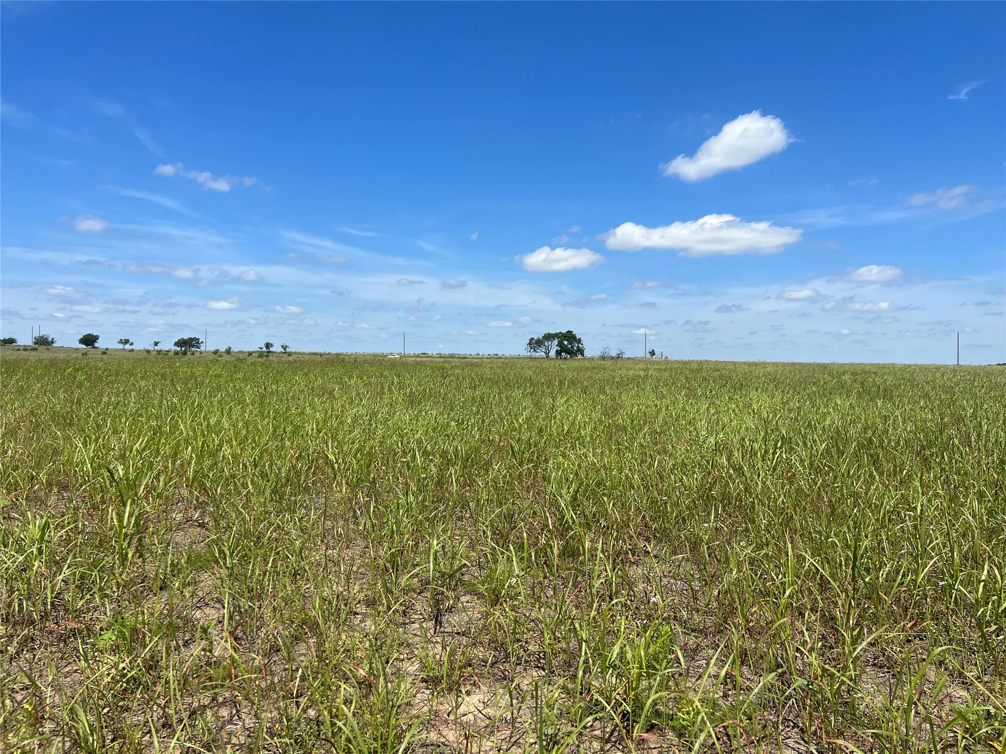 Unimproved Land For Sale in Hill County , Tbd HCR 1153, Blum, Texas 76627, 0, 0, Garage spaces, 0 Sqft, built in 0, mls#21257283, Real Estate Agent in Blum, Homes For Sale in Hill county, Homes For Sale in Blum, Realtor in Blum Texas, Real Estate Brokerage Independent Realty Texas, Luminita Cordes Realtor