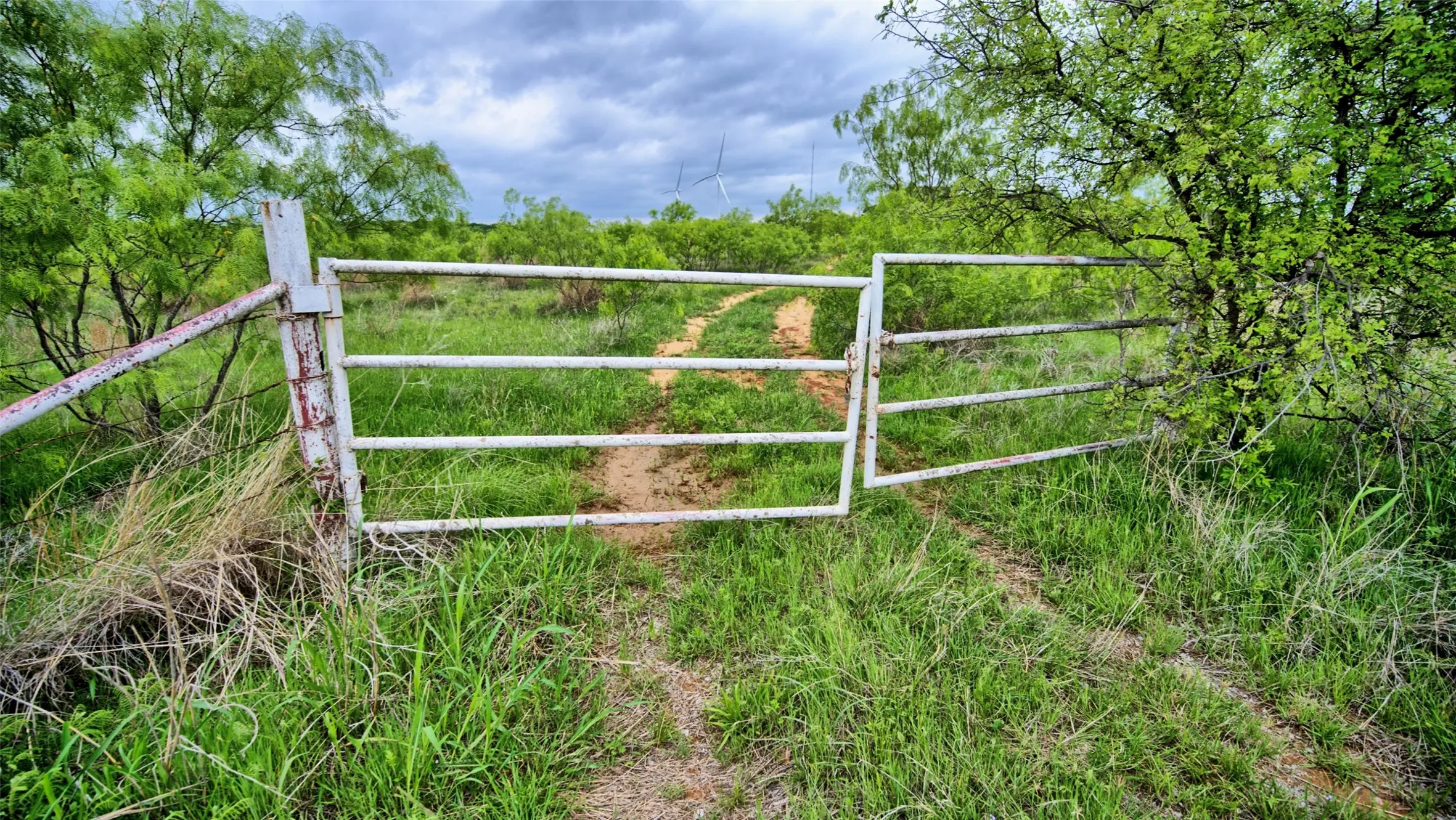 Ranch For Sale in Clay County , 0 Watson, Henrietta, Texas 76365, 0, 0, Garage spaces, 0 Sqft, built in 0, Price $925,000, mls#21259457, Real Estate Agent in Henrietta, Homes For Sale in Clay county, Homes For Sale in Henrietta, Realtor in Henrietta Texas, Real Estate Brokerage Independent Realty Texas, Luminita Cordes Realtor