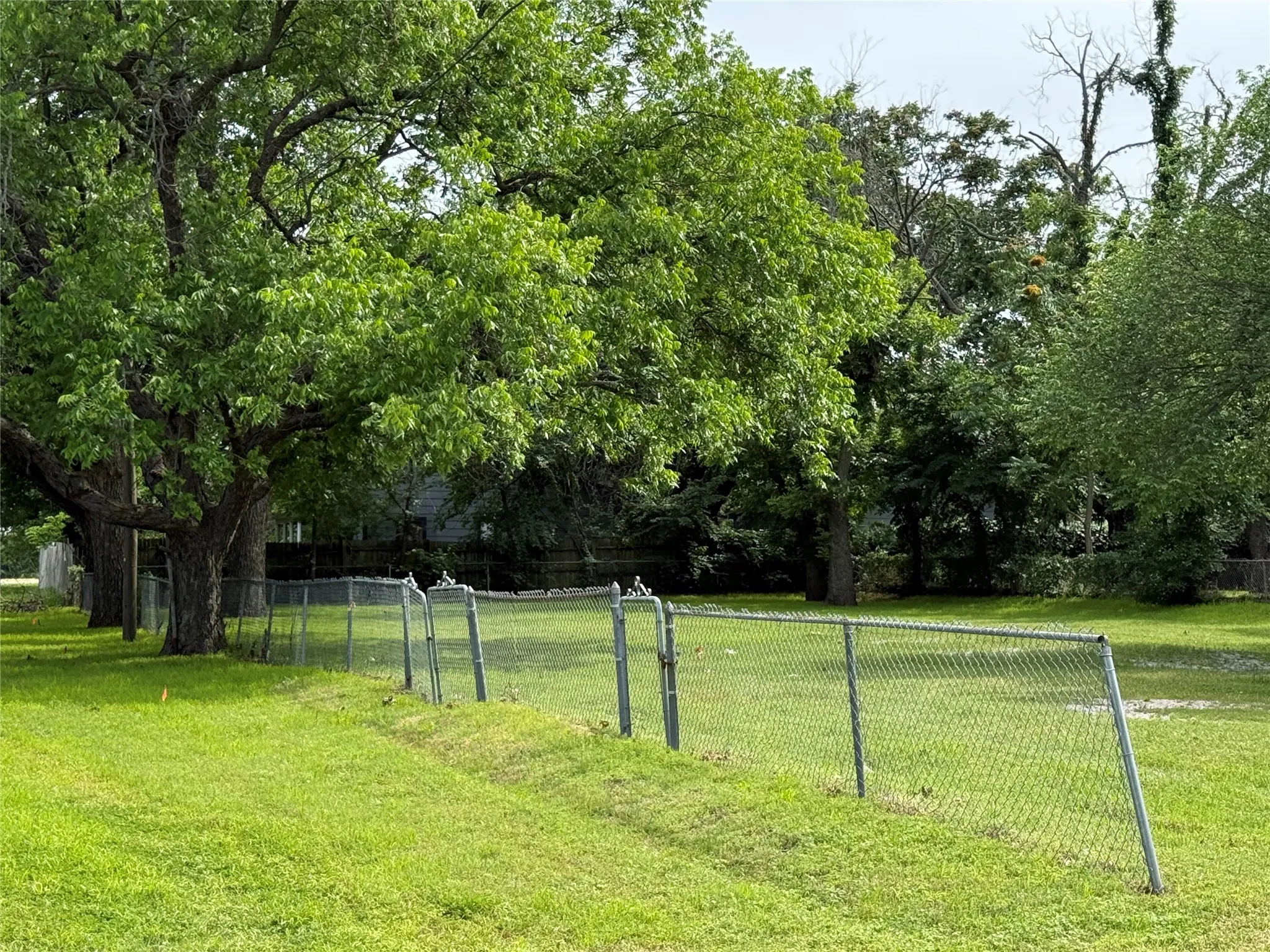 Expansive green lawn featuring mature trees and a chain-link fence