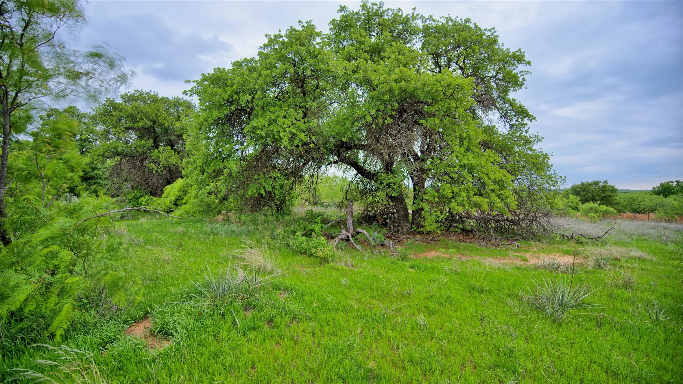 Single Family Residence For Sale in Clay County , 3377 Lodge Creek Road, Henrietta, Texas 76365, 4 Bedroom, 2 Bathroom, Garage spaces, 1,720 Sqft, built in 1973, Preowned, mls#21259495, Real Estate Agent in Henrietta, Homes For Sale in Clay county, Homes For Sale in Henrietta, Realtor in Henrietta Texas, Real Estate Brokerage Independent Realty Texas, Luminita Cordes Realtor