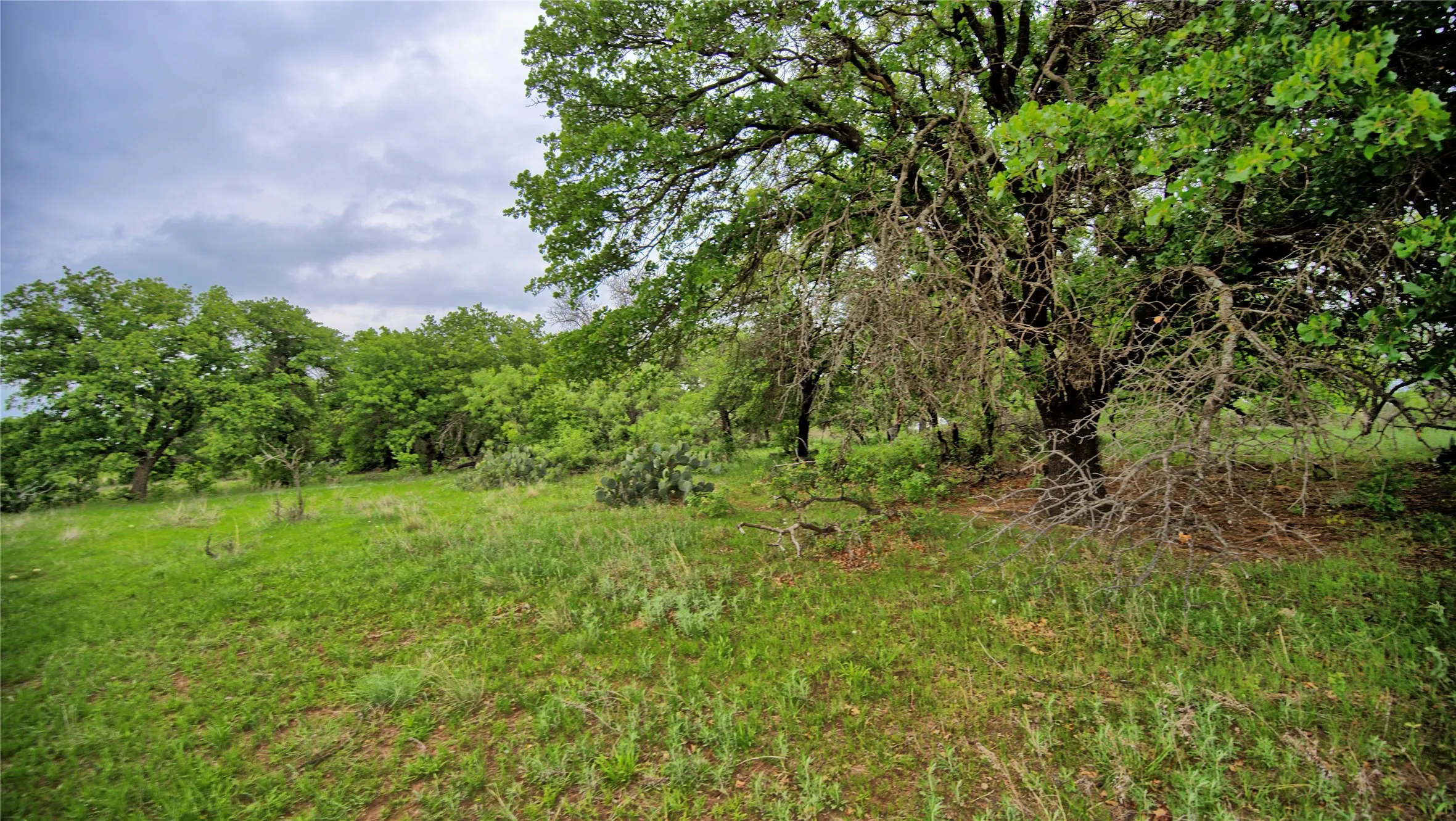 Single Family Residence For Sale in Clay County , 3377 Lodge Creek Road, Henrietta, Texas 76365, 4 Bedroom, 2 Bathroom, Garage spaces, 1,720 Sqft, built in 1973, Preowned, mls#21259495, Real Estate Agent in Henrietta, Homes For Sale in Clay county, Homes For Sale in Henrietta, Realtor in Henrietta Texas, Real Estate Brokerage Independent Realty Texas, Luminita Cordes Realtor
