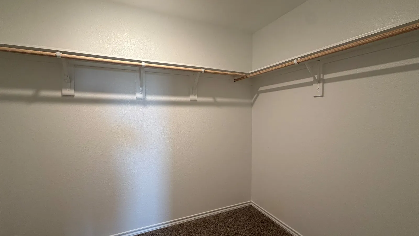Walk-in closet featuring light-colored walls, wood-finish shelving, and carpeting