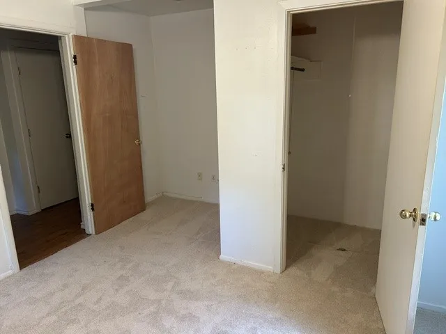 Carpeted room with white walls, featuring a light wood door with brass hardware and an open closet with a single shelf and hanging rod