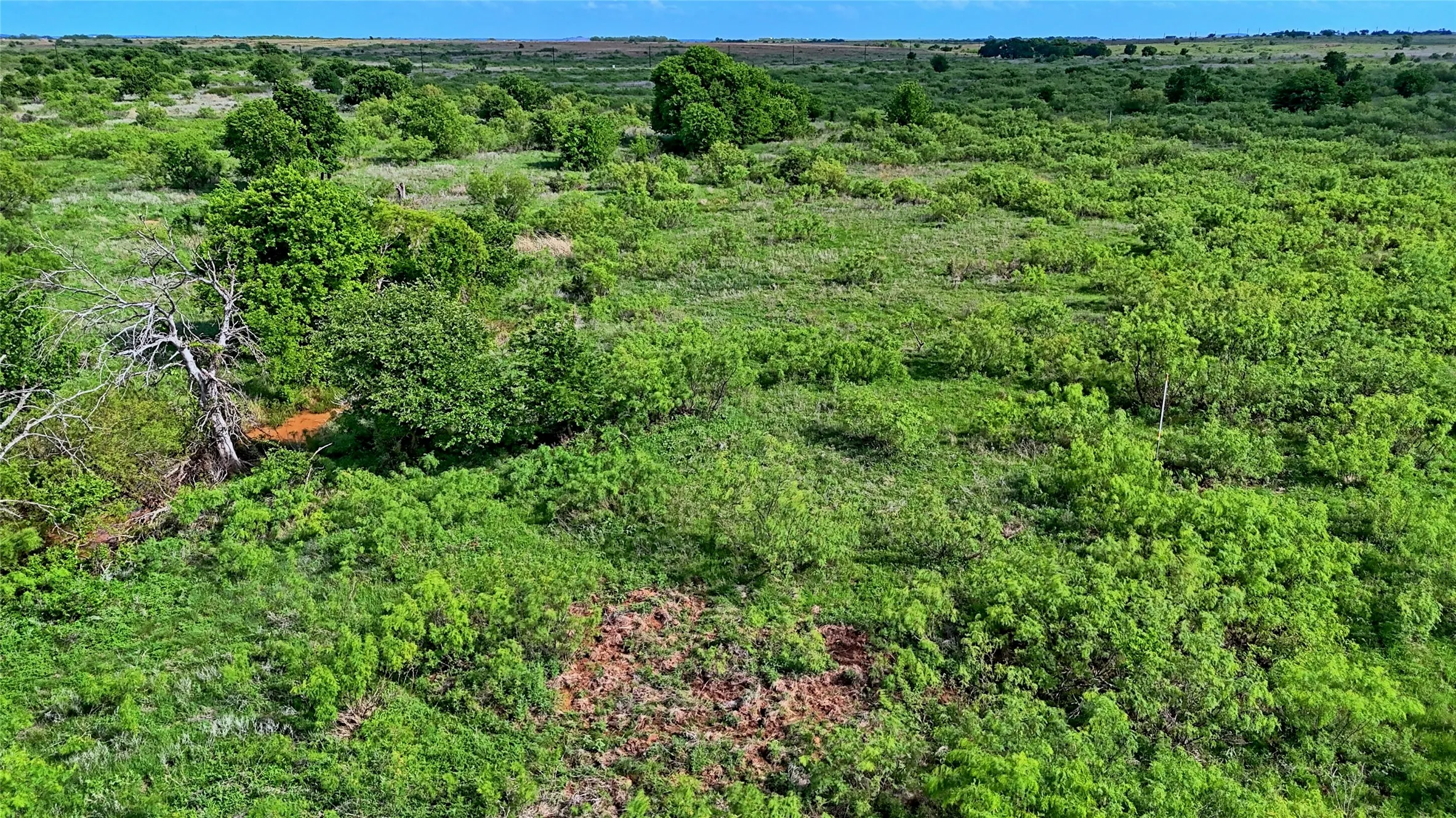 Unimproved Land For Sale in Montague County , 000 Longview Lane, Bowie, Texas 76230, 0, 0, Garage spaces, 0 Sqft, built in 0, Price $130,000, mls#21259623, Real Estate Agent in Bowie, Homes For Sale in Montague county, Homes For Sale in Bowie, Realtor in Bowie Texas, Real Estate Brokerage Independent Realty Texas, Luminita Cordes Realtor