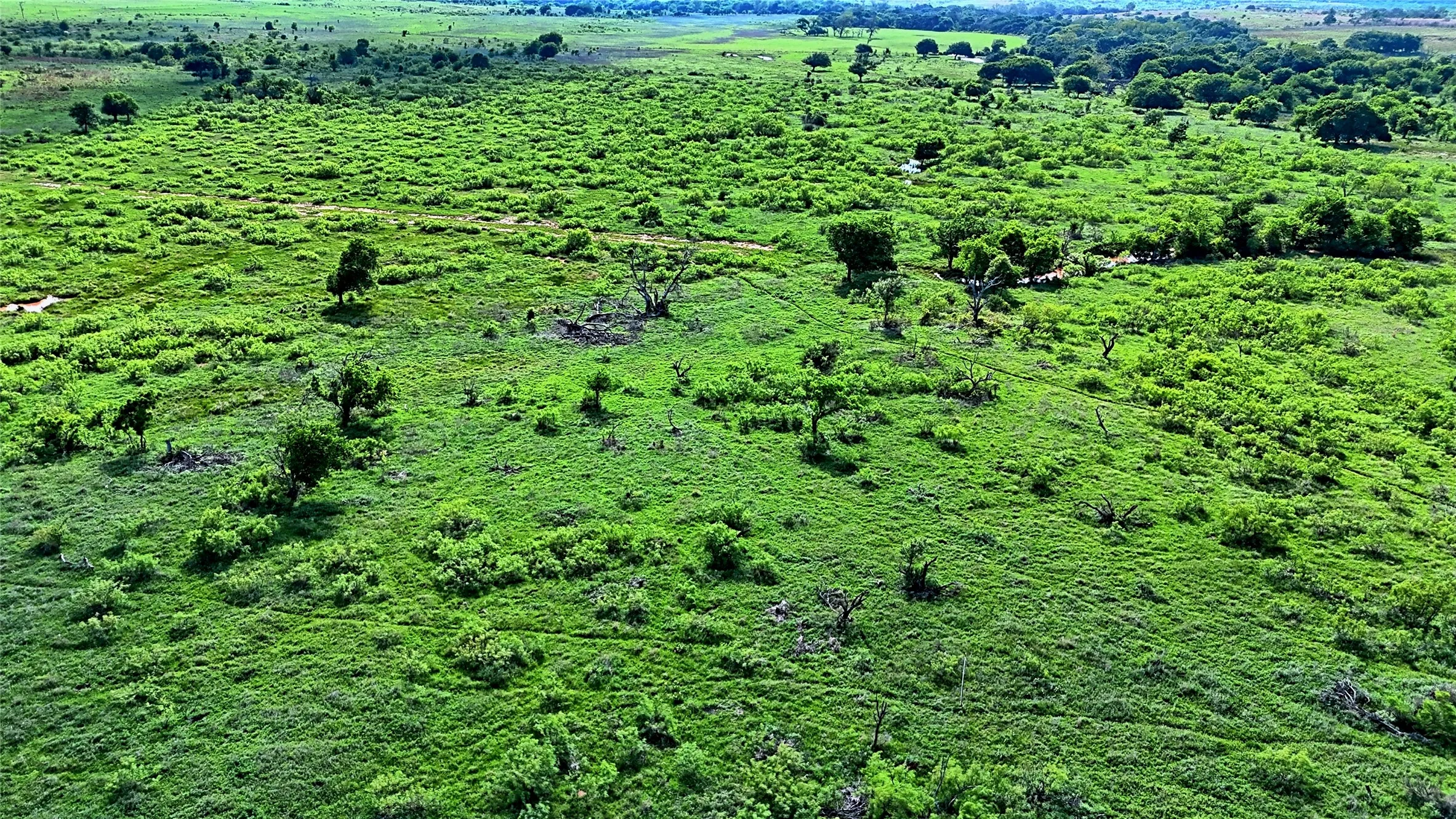 Unimproved Land For Sale in Montague County , 000 Longview Lane, Bowie, Texas 76230, 0, 0, Garage spaces, 0 Sqft, built in 0, Price $130,000, mls#21259623, Real Estate Agent in Bowie, Homes For Sale in Montague county, Homes For Sale in Bowie, Realtor in Bowie Texas, Real Estate Brokerage Independent Realty Texas, Luminita Cordes Realtor