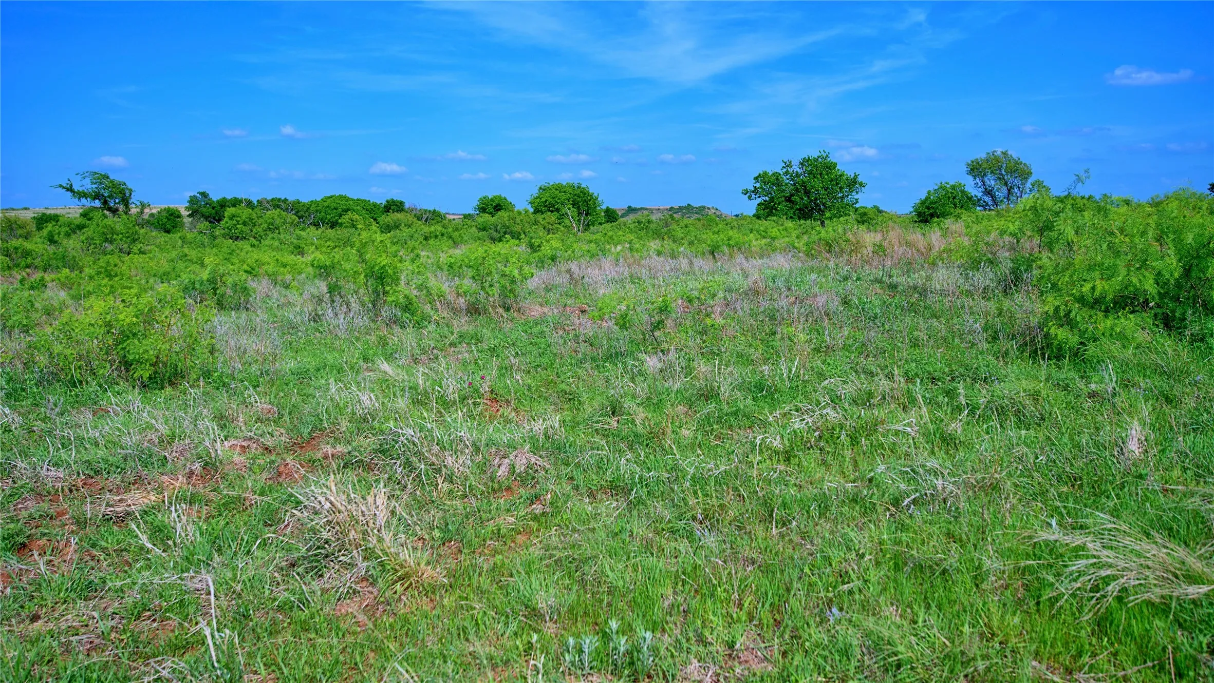 Unimproved Land For Sale in Montague County , 000 Longview Lane, Bowie, Texas 76230, 0, 0, Garage spaces, 0 Sqft, built in 0, Price $130,000, mls#21259623, Real Estate Agent in Bowie, Homes For Sale in Montague county, Homes For Sale in Bowie, Realtor in Bowie Texas, Real Estate Brokerage Independent Realty Texas, Luminita Cordes Realtor
