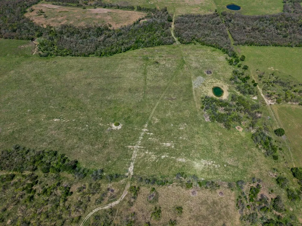 Unimproved Land For Sale in Limestone County , 303 LCR 626 Road, Groesbeck, Texas 76642, 0, 0, Garage spaces, 0 Sqft, built in 0, Price $1,089,900, mls#21232122, Real Estate Agent in Groesbeck, Homes For Sale in Limestone county, Homes For Sale in Groesbeck, Realtor in Groesbeck Texas, Real Estate Brokerage Independent Realty Texas, Luminita Cordes Realtor