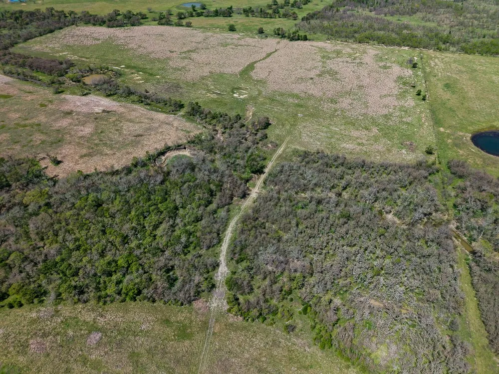 Unimproved Land For Sale in Limestone County , 303 LCR 626 Road, Groesbeck, Texas 76642, 0, 0, Garage spaces, 0 Sqft, built in 0, Price $1,089,900, mls#21232122, Real Estate Agent in Groesbeck, Homes For Sale in Limestone county, Homes For Sale in Groesbeck, Realtor in Groesbeck Texas, Real Estate Brokerage Independent Realty Texas, Luminita Cordes Realtor