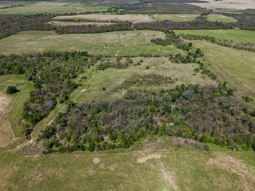 Unimproved Land For Sale in Limestone County , 303 LCR 626 Road, Groesbeck, Texas 76642, 0, 0, Garage spaces, 0 Sqft, built in 0, Price $1,089,900, mls#21232122, Real Estate Agent in Groesbeck, Homes For Sale in Limestone county, Homes For Sale in Groesbeck, Realtor in Groesbeck Texas, Real Estate Brokerage Independent Realty Texas, Luminita Cordes Realtor