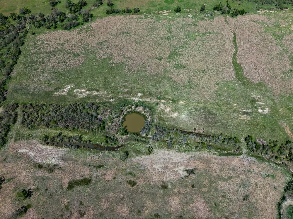 Unimproved Land For Sale in Limestone County , 303 LCR 626 Road, Groesbeck, Texas 76642, 0, 0, Garage spaces, 0 Sqft, built in 0, Price $1,089,900, mls#21232122, Real Estate Agent in Groesbeck, Homes For Sale in Limestone county, Homes For Sale in Groesbeck, Realtor in Groesbeck Texas, Real Estate Brokerage Independent Realty Texas, Luminita Cordes Realtor