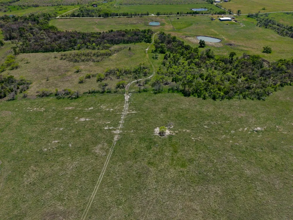 Unimproved Land For Sale in Limestone County , 303 LCR 626 Road, Groesbeck, Texas 76642, 0, 0, Garage spaces, 0 Sqft, built in 0, Price $1,089,900, mls#21232122, Real Estate Agent in Groesbeck, Homes For Sale in Limestone county, Homes For Sale in Groesbeck, Realtor in Groesbeck Texas, Real Estate Brokerage Independent Realty Texas, Luminita Cordes Realtor