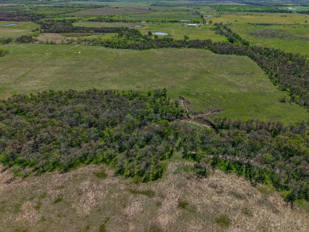 Unimproved Land For Sale in Limestone County , 303 LCR 626 Road, Groesbeck, Texas 76642, 0, 0, Garage spaces, 0 Sqft, built in 0, Price $1,089,900, mls#21232122, Real Estate Agent in Groesbeck, Homes For Sale in Limestone county, Homes For Sale in Groesbeck, Realtor in Groesbeck Texas, Real Estate Brokerage Independent Realty Texas, Luminita Cordes Realtor