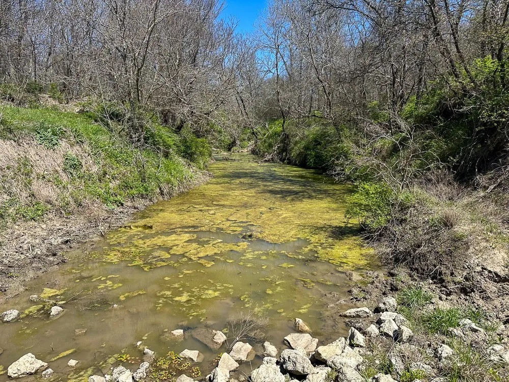 Unimproved Land For Sale in Limestone County , 303 LCR 626 Road, Groesbeck, Texas 76642, 0, 0, Garage spaces, 0 Sqft, built in 0, Price $1,089,900, mls#21232122, Real Estate Agent in Groesbeck, Homes For Sale in Limestone county, Homes For Sale in Groesbeck, Realtor in Groesbeck Texas, Real Estate Brokerage Independent Realty Texas, Luminita Cordes Realtor