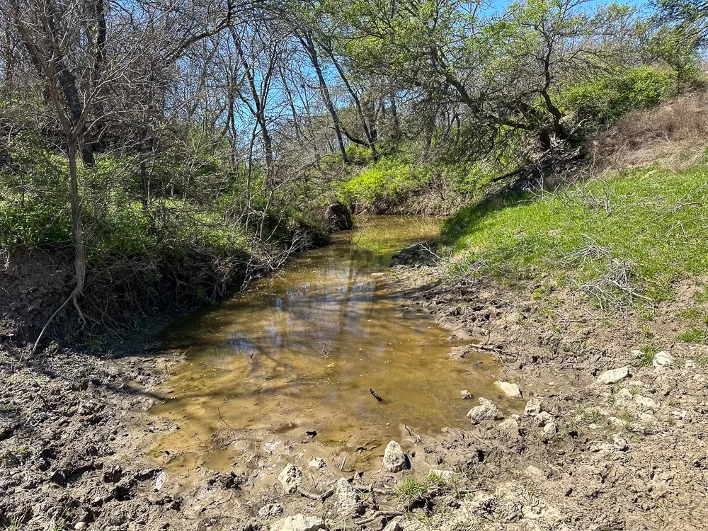 Unimproved Land For Sale in Limestone County , 303 LCR 626 Road, Groesbeck, Texas 76642, 0, 0, Garage spaces, 0 Sqft, built in 0, Price $1,089,900, mls#21232122, Real Estate Agent in Groesbeck, Homes For Sale in Limestone county, Homes For Sale in Groesbeck, Realtor in Groesbeck Texas, Real Estate Brokerage Independent Realty Texas, Luminita Cordes Realtor