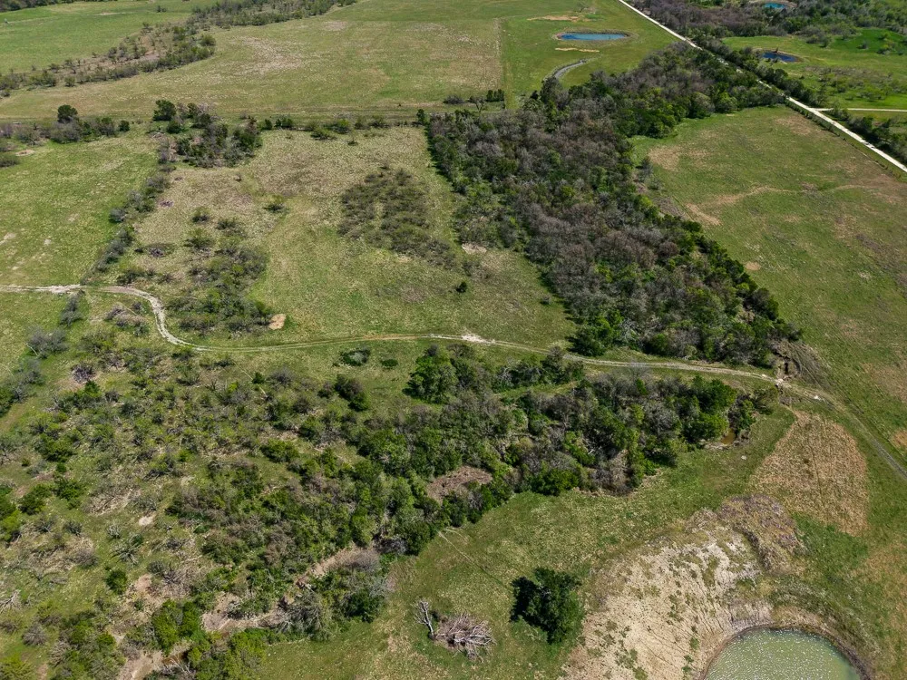 Unimproved Land For Sale in Limestone County , 303 LCR 626 Road, Groesbeck, Texas 76642, 0, 0, Garage spaces, 0 Sqft, built in 0, Price $1,089,900, mls#21232122, Real Estate Agent in Groesbeck, Homes For Sale in Limestone county, Homes For Sale in Groesbeck, Realtor in Groesbeck Texas, Real Estate Brokerage Independent Realty Texas, Luminita Cordes Realtor