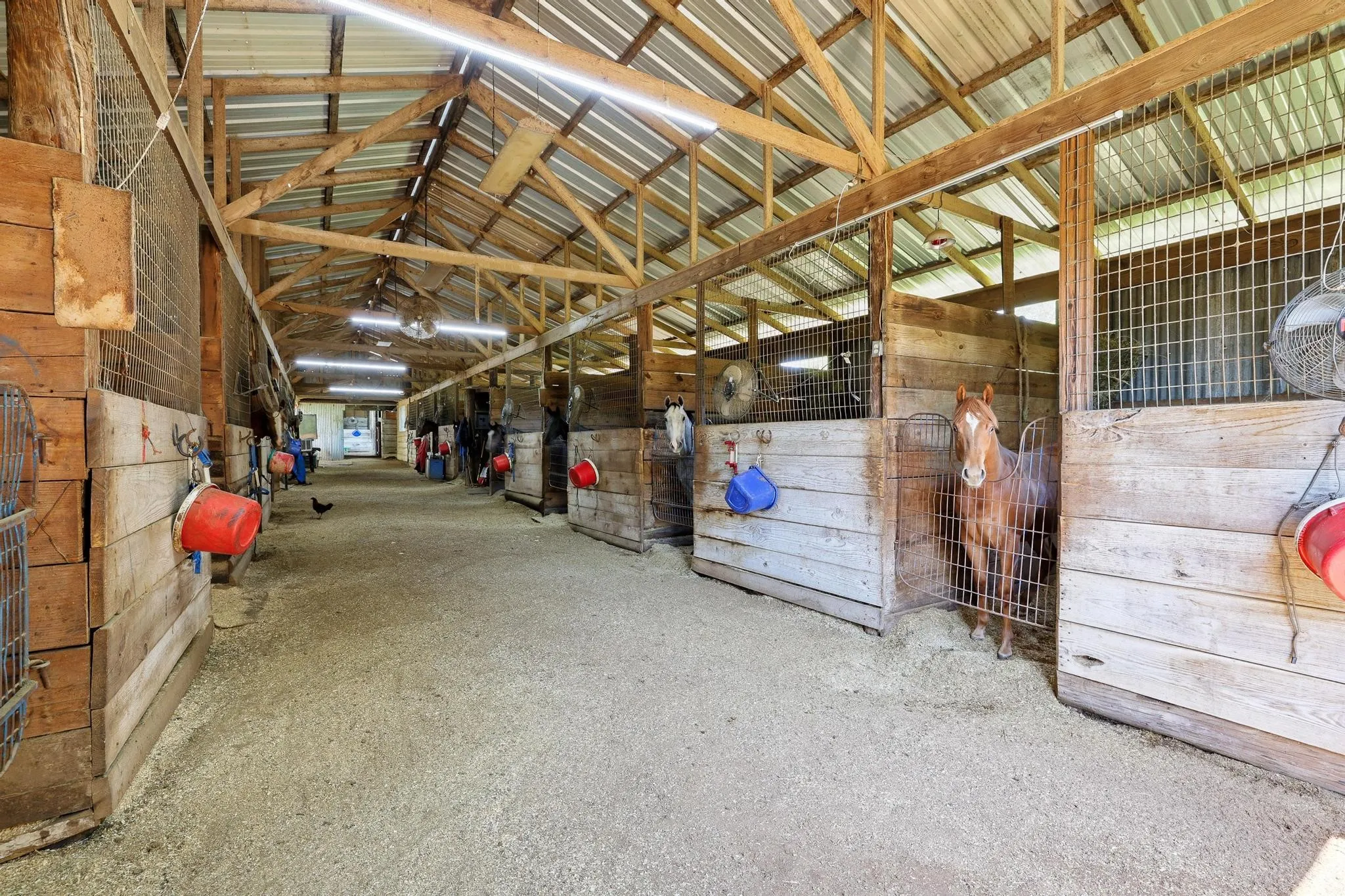 Improved Land For Sale in Grayson County , 2550 E Fm 120, Denison, Texas 75021, 0, 0, Garage spaces, 0 Sqft, built in 1945, Price $2,100,000, mls#21259317, Real Estate Agent in Denison, Homes For Sale in Grayson county, Homes For Sale in Denison, Realtor in Denison Texas, Real Estate Brokerage Independent Realty Texas, Luminita Cordes Realtor