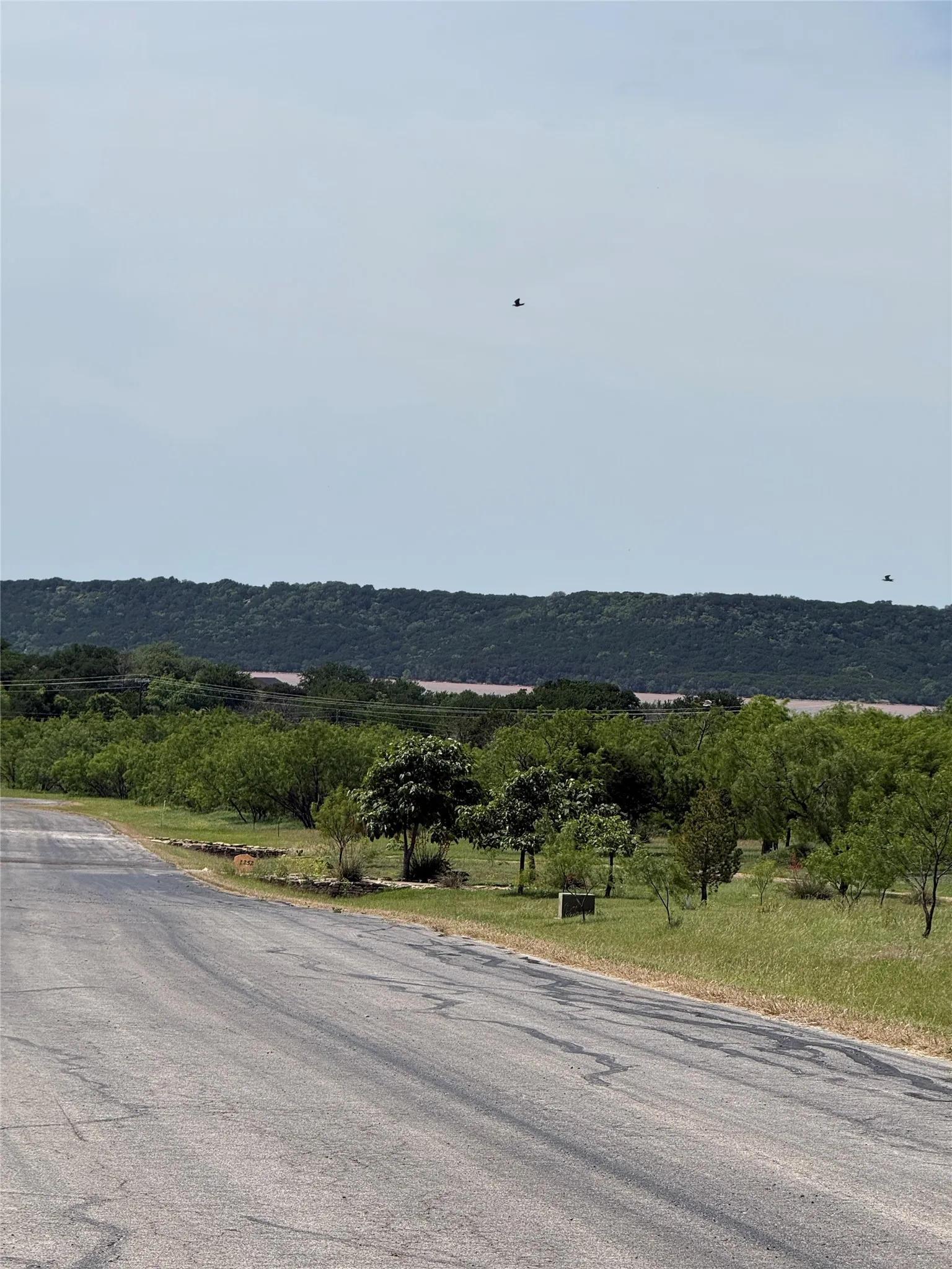 Unimproved Land For Sale in Palo Pinto County , 1133 Sparrow Court, Graford, Texas 76449, 0, 0, Garage spaces, 0 Sqft, built in 0, mls#21259855, Real Estate Agent in Graford, Homes For Sale in Palo Pinto county, Homes For Sale in Graford, Realtor in Graford Texas, Real Estate Brokerage Independent Realty Texas, Luminita Cordes Realtor