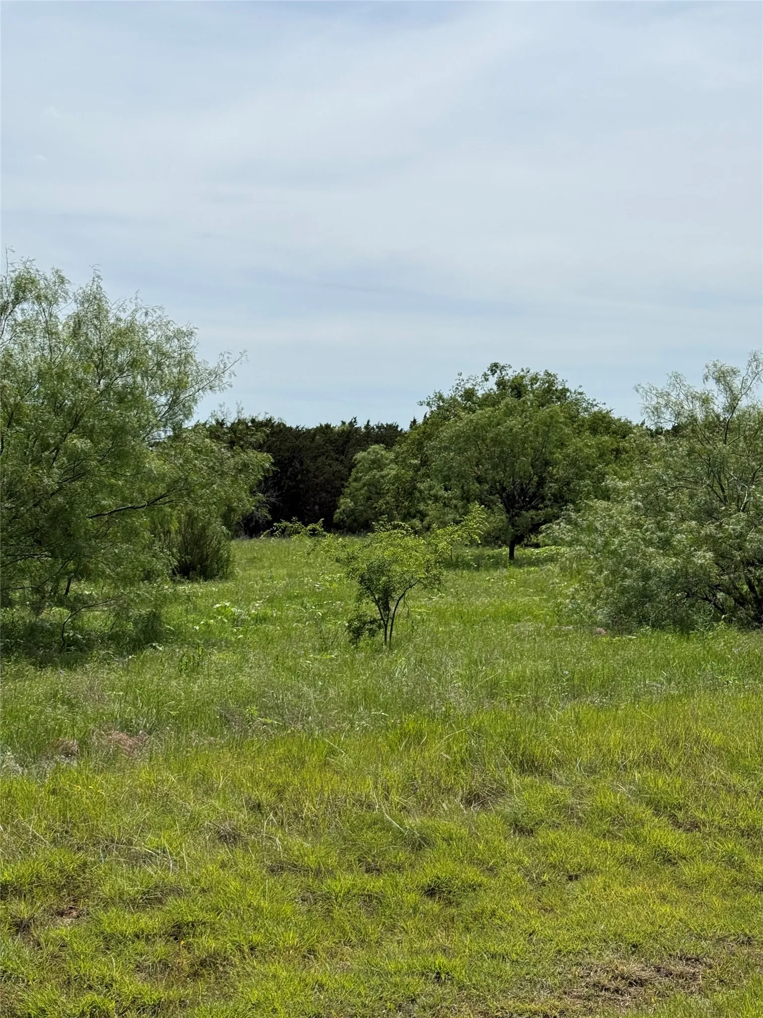 Unimproved Land For Sale in Palo Pinto County , 1133 Sparrow Court, Graford, Texas 76449, 0, 0, Garage spaces, 0 Sqft, built in 0, mls#21259855, Real Estate Agent in Graford, Homes For Sale in Palo Pinto county, Homes For Sale in Graford, Realtor in Graford Texas, Real Estate Brokerage Independent Realty Texas, Luminita Cordes Realtor