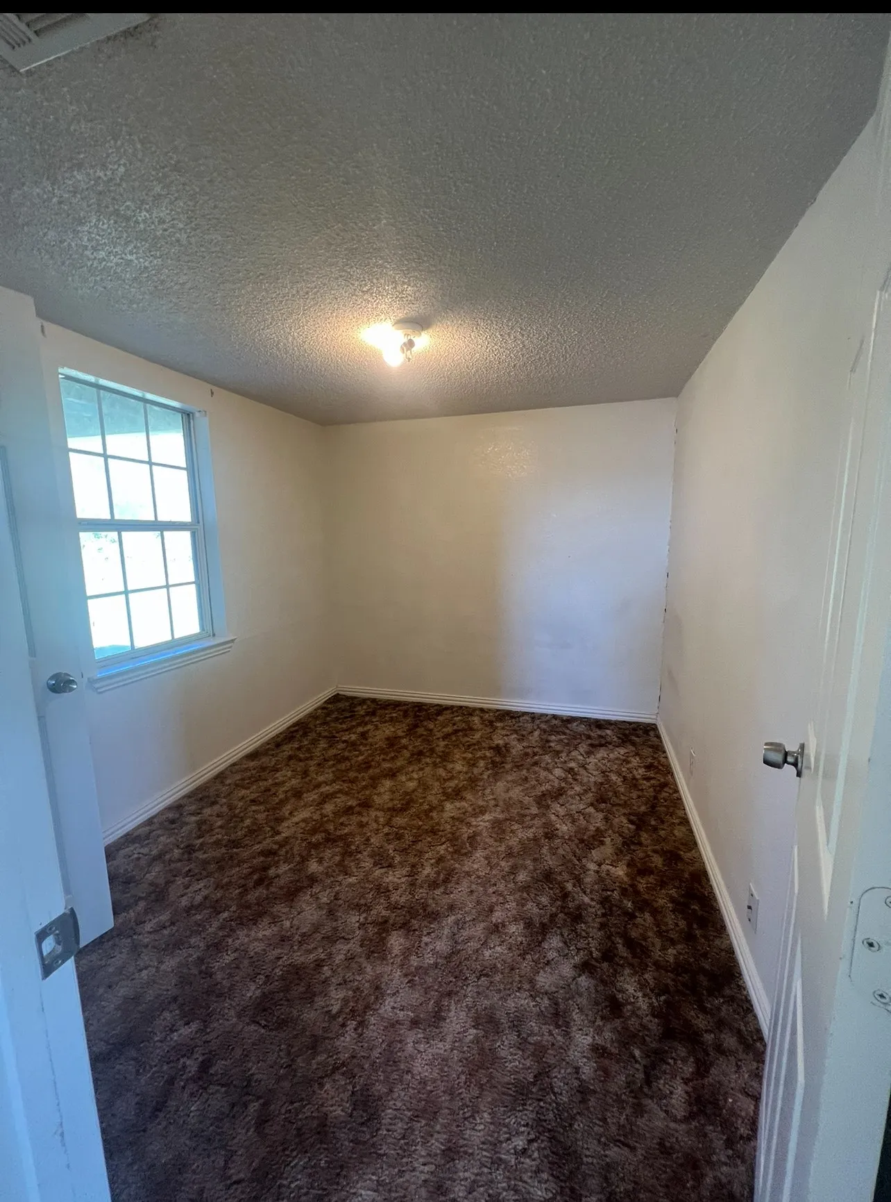 Brown shag carpeting, white walls, and a window with horizontal muntins