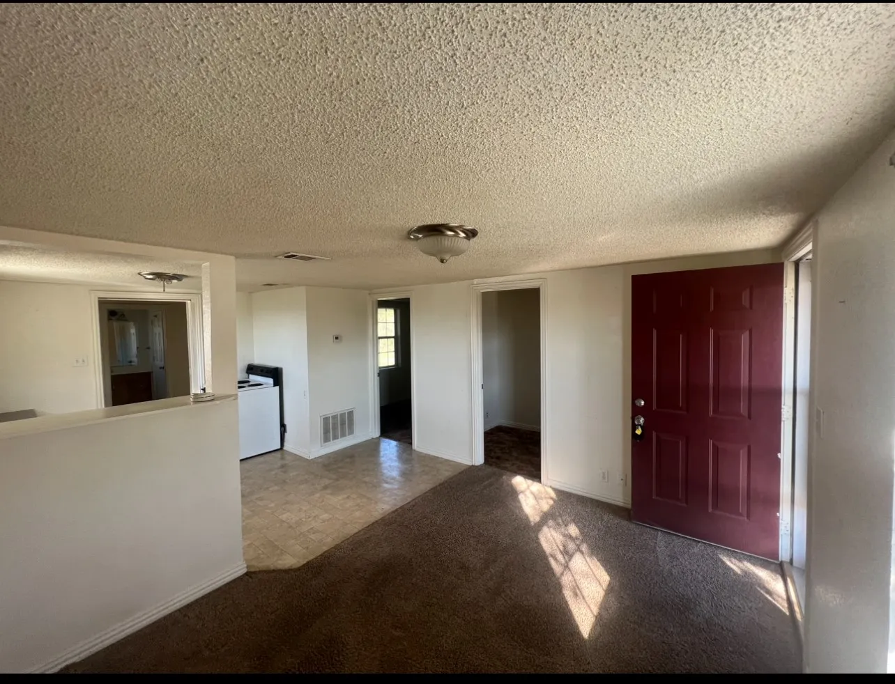 Entry area with a deep red paneled door, offering carpet flooring, a ceiling-mounted light fixture, and white wall finishes