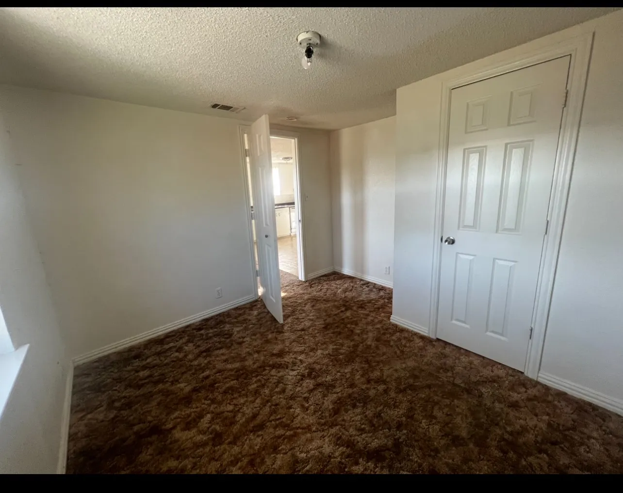 Interior room featuring plush brown carpeting, white walls, and white trim