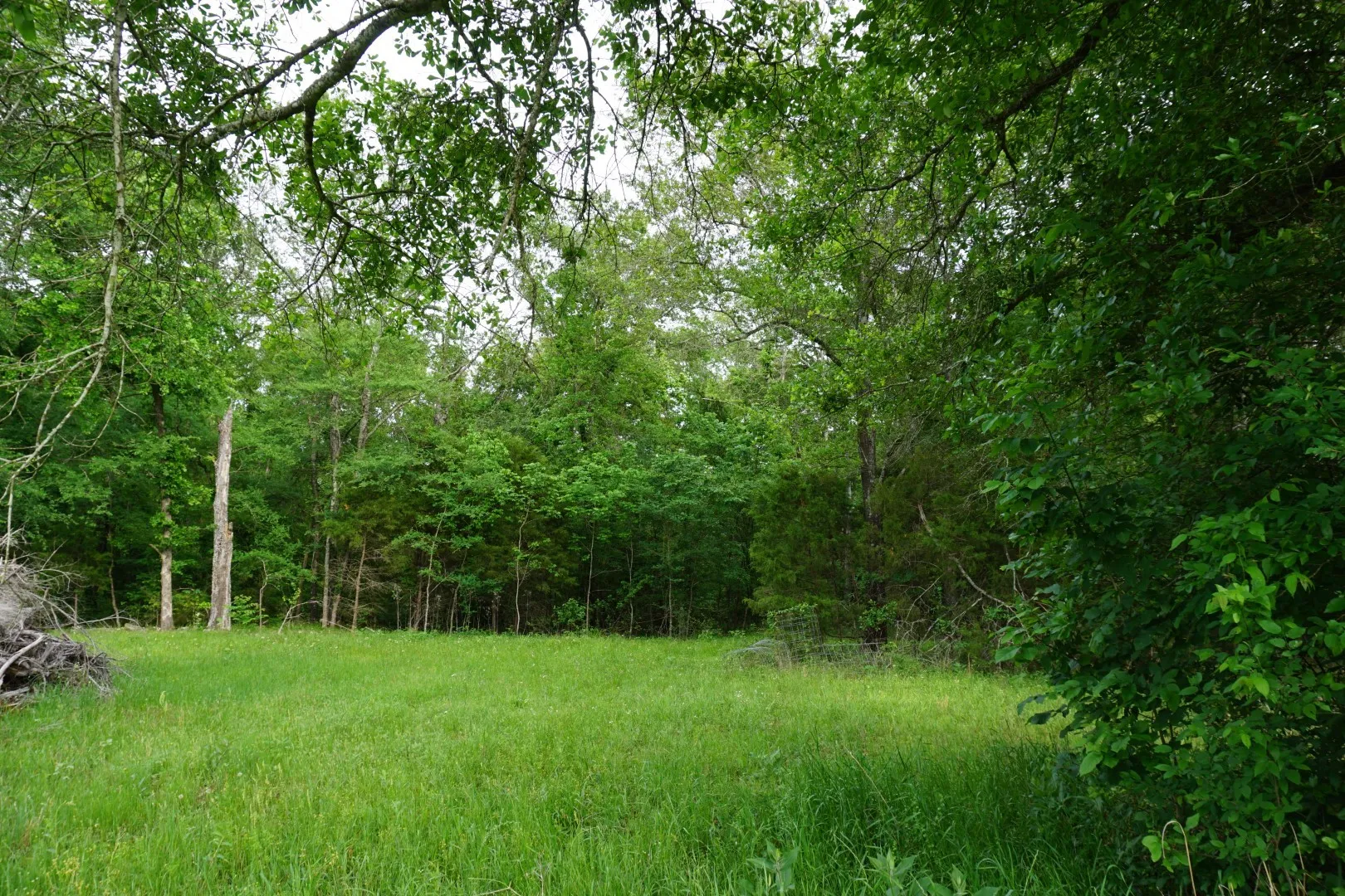 Improved Land For Sale in Henderson County , TBD2 County Road 1200, Malakoff, Texas 75148, 0, 0, Garage spaces, 0 Sqft, built in 0, mls#21259939, Real Estate Agent in Malakoff, Homes For Sale in Henderson county, Homes For Sale in Malakoff, Realtor in Malakoff Texas, Real Estate Brokerage Independent Realty Texas, Luminita Cordes Realtor