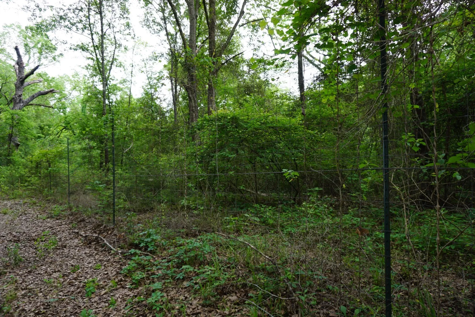 Improved Land For Sale in Henderson County , TBD2 County Road 1200, Malakoff, Texas 75148, 0, 0, Garage spaces, 0 Sqft, built in 0, mls#21259939, Real Estate Agent in Malakoff, Homes For Sale in Henderson county, Homes For Sale in Malakoff, Realtor in Malakoff Texas, Real Estate Brokerage Independent Realty Texas, Luminita Cordes Realtor