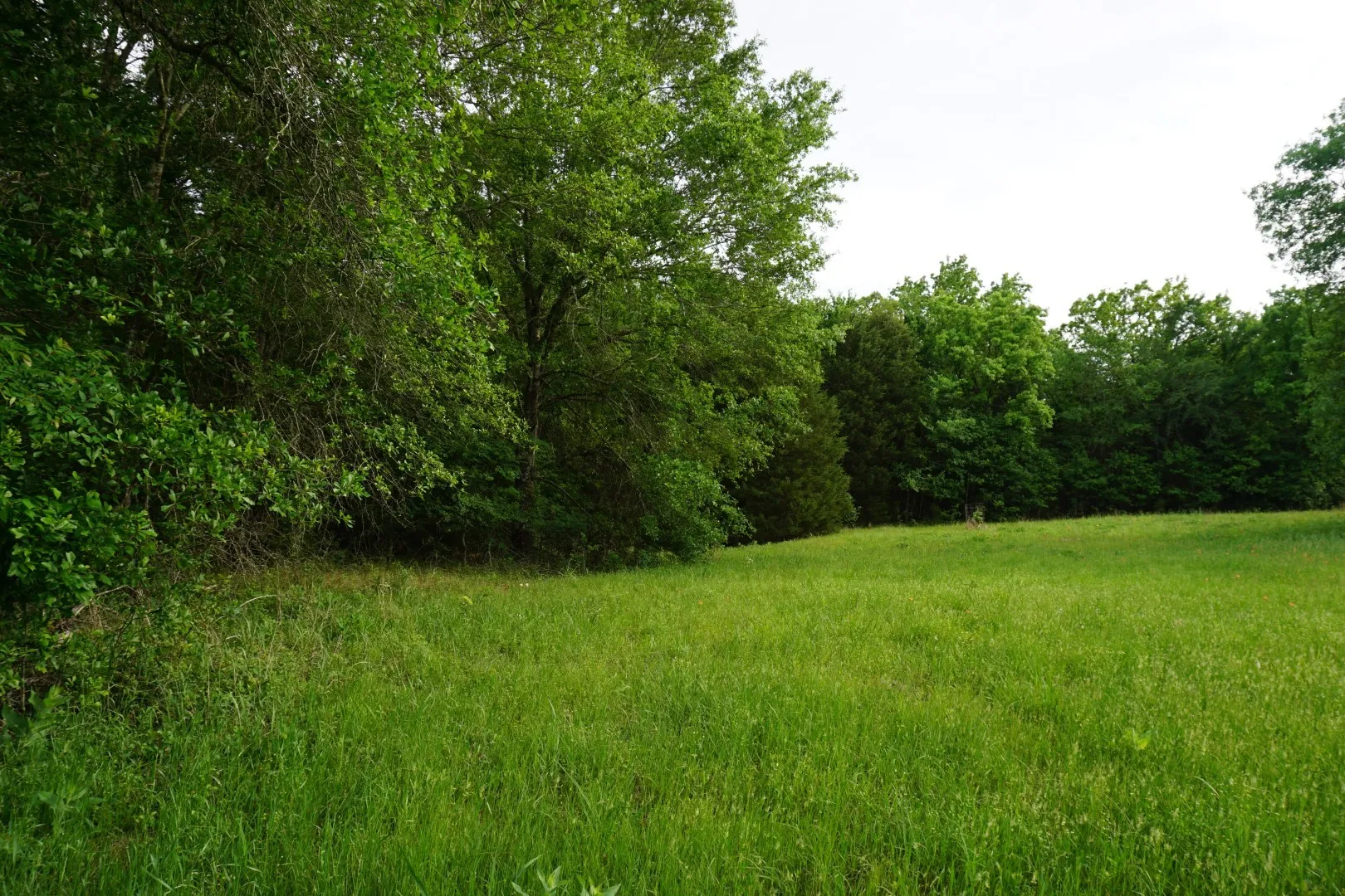 Improved Land For Sale in Henderson County , TBD2 County Road 1200, Malakoff, Texas 75148, 0, 0, Garage spaces, 0 Sqft, built in 0, mls#21259939, Real Estate Agent in Malakoff, Homes For Sale in Henderson county, Homes For Sale in Malakoff, Realtor in Malakoff Texas, Real Estate Brokerage Independent Realty Texas, Luminita Cordes Realtor
