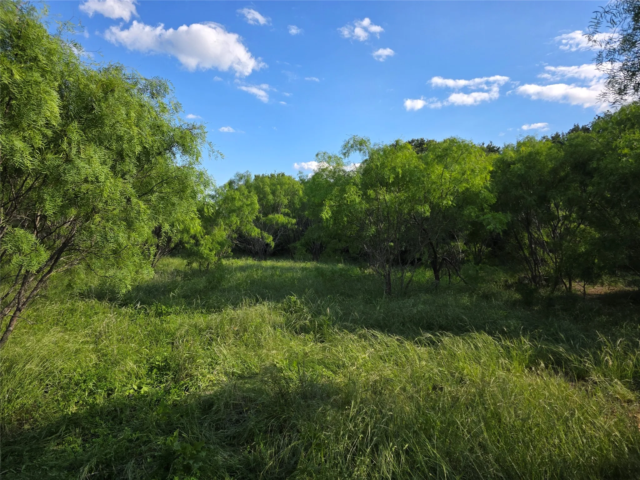 Ranch For Sale in Brown County , 3201 County Road 612, Bangs, Texas 76823, 0, 0, Garage spaces, 0 Sqft, built in 0, mls#21259981, Real Estate Agent in Bangs, Homes For Sale in Brown county, Homes For Sale in Bangs, Realtor in Bangs Texas, Real Estate Brokerage Independent Realty Texas, Luminita Cordes Realtor