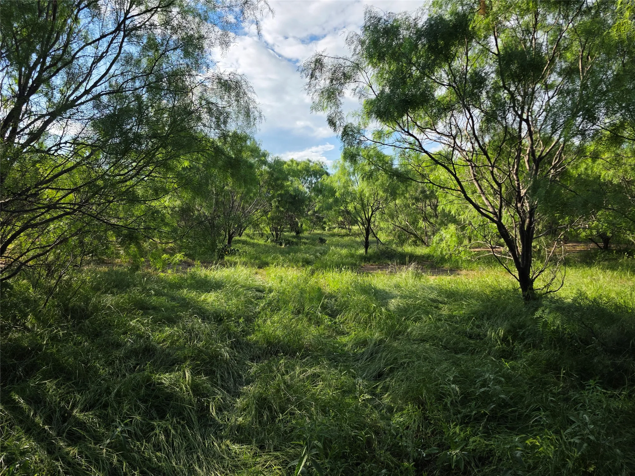 Ranch For Sale in Brown County , 3201 County Road 612, Bangs, Texas 76823, 0, 0, Garage spaces, 0 Sqft, built in 0, mls#21259981, Real Estate Agent in Bangs, Homes For Sale in Brown county, Homes For Sale in Bangs, Realtor in Bangs Texas, Real Estate Brokerage Independent Realty Texas, Luminita Cordes Realtor