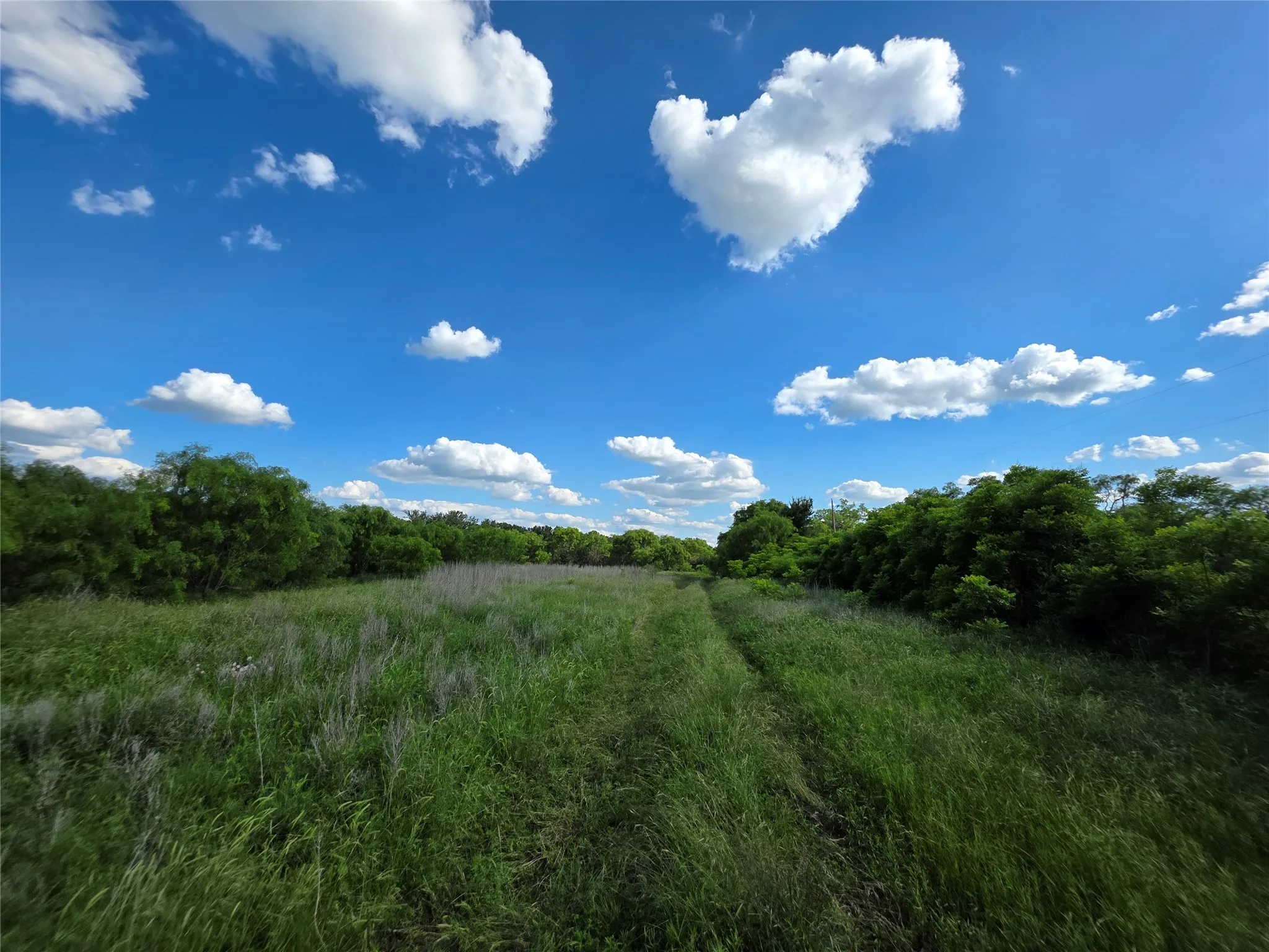 Ranch For Sale in Brown County , 3201 County Road 612, Bangs, Texas 76823, 0, 0, Garage spaces, 0 Sqft, built in 0, mls#21259981, Real Estate Agent in Bangs, Homes For Sale in Brown county, Homes For Sale in Bangs, Realtor in Bangs Texas, Real Estate Brokerage Independent Realty Texas, Luminita Cordes Realtor