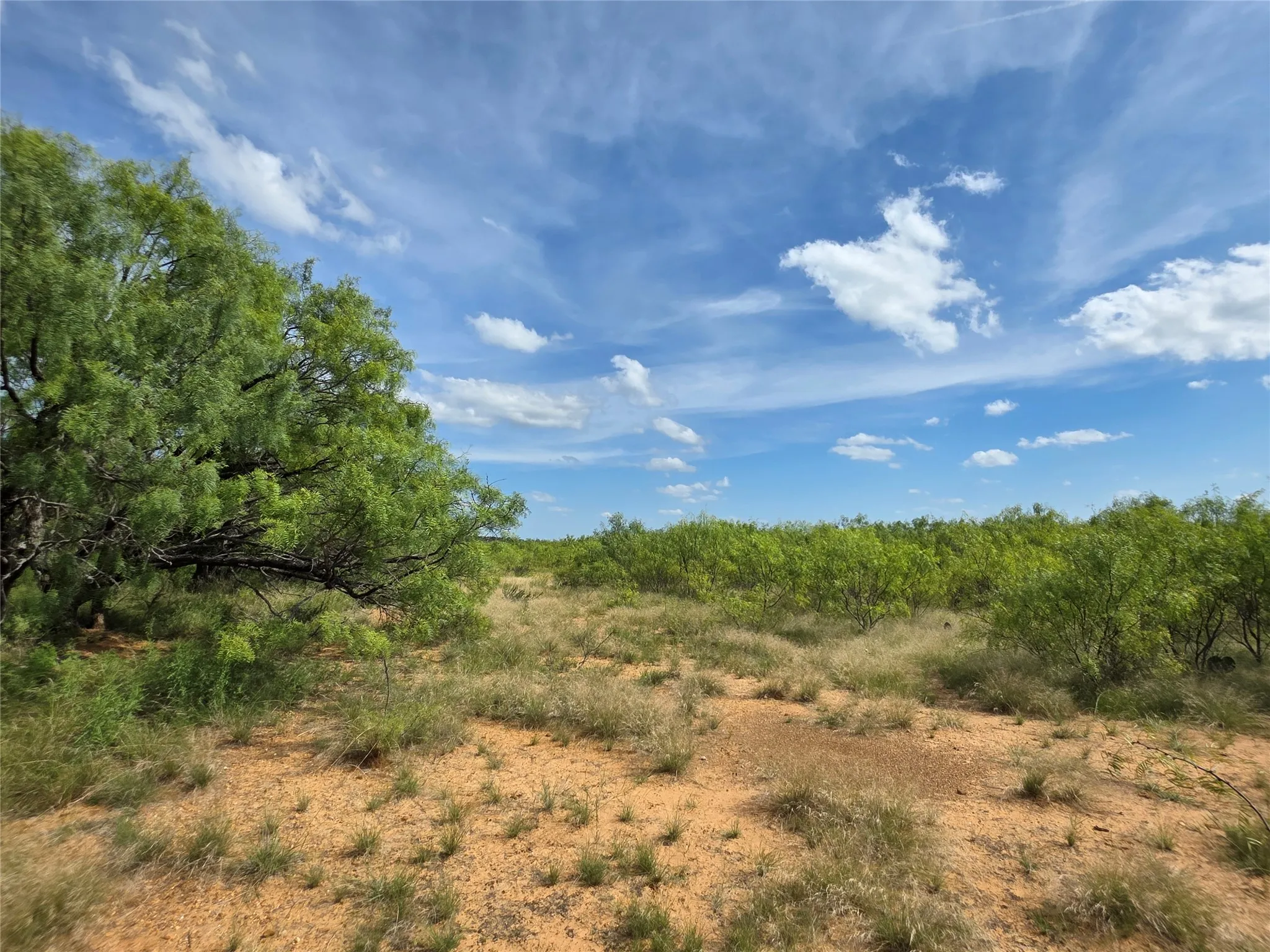 Ranch For Sale in Brown County , 3201 County Road 612, Bangs, Texas 76823, 0, 0, Garage spaces, 0 Sqft, built in 0, mls#21259981, Real Estate Agent in Bangs, Homes For Sale in Brown county, Homes For Sale in Bangs, Realtor in Bangs Texas, Real Estate Brokerage Independent Realty Texas, Luminita Cordes Realtor