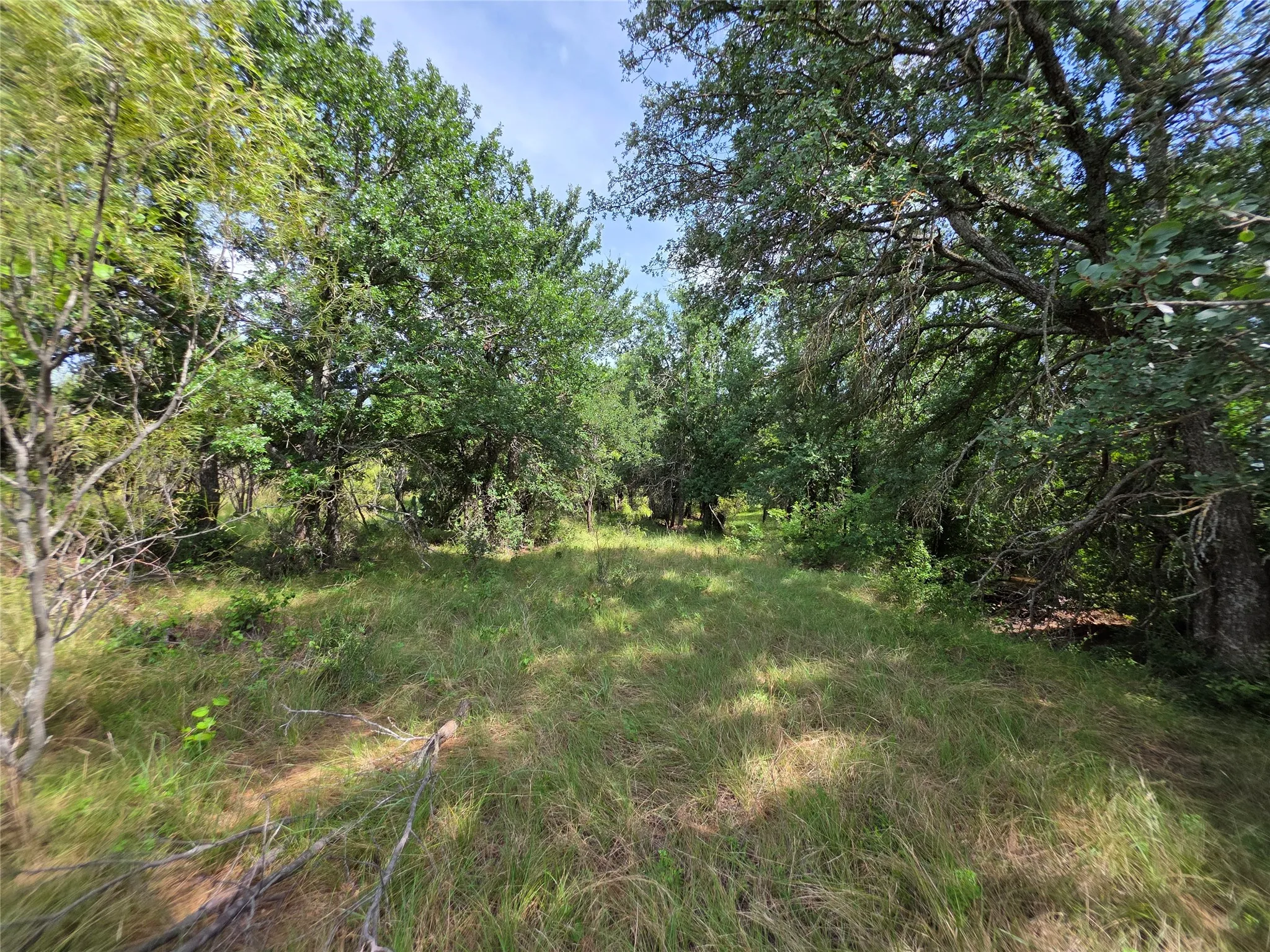 Ranch For Sale in Brown County , 3201 County Road 612, Bangs, Texas 76823, 0, 0, Garage spaces, 0 Sqft, built in 0, mls#21259981, Real Estate Agent in Bangs, Homes For Sale in Brown county, Homes For Sale in Bangs, Realtor in Bangs Texas, Real Estate Brokerage Independent Realty Texas, Luminita Cordes Realtor