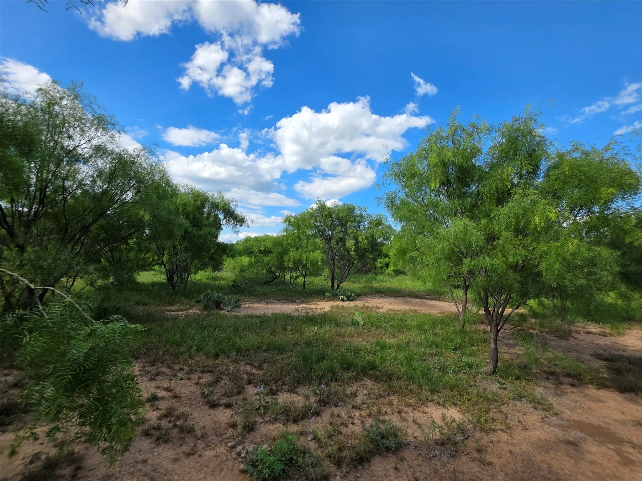 Ranch For Sale in Brown County , 3201 County Road 612, Bangs, Texas 76823, 0, 0, Garage spaces, 0 Sqft, built in 0, mls#21259981, Real Estate Agent in Bangs, Homes For Sale in Brown county, Homes For Sale in Bangs, Realtor in Bangs Texas, Real Estate Brokerage Independent Realty Texas, Luminita Cordes Realtor