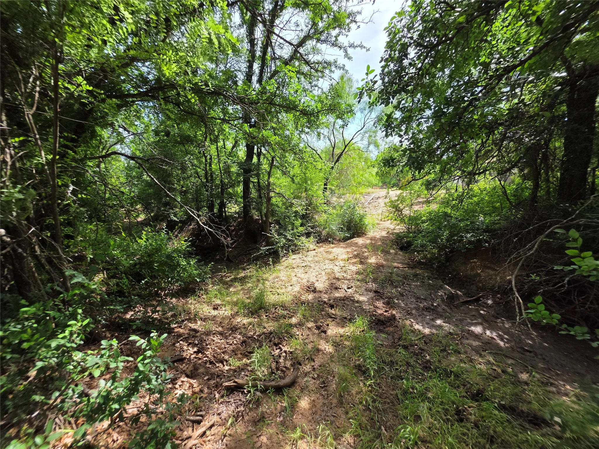 Ranch For Sale in Brown County , 3201 County Road 612, Bangs, Texas 76823, 0, 0, Garage spaces, 0 Sqft, built in 0, mls#21259981, Real Estate Agent in Bangs, Homes For Sale in Brown county, Homes For Sale in Bangs, Realtor in Bangs Texas, Real Estate Brokerage Independent Realty Texas, Luminita Cordes Realtor
