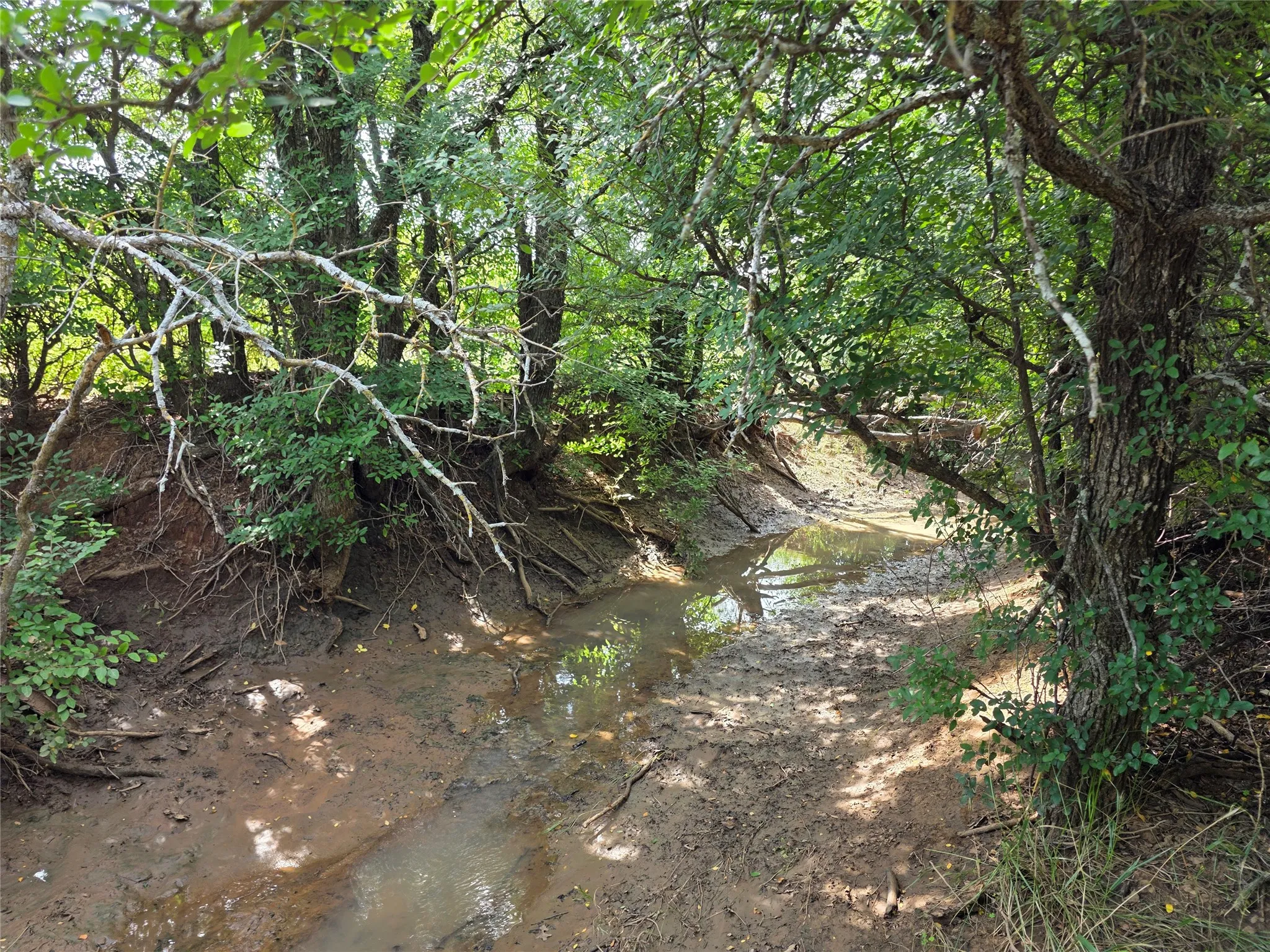 Ranch For Sale in Brown County , 3201 County Road 612, Bangs, Texas 76823, 0, 0, Garage spaces, 0 Sqft, built in 0, mls#21259981, Real Estate Agent in Bangs, Homes For Sale in Brown county, Homes For Sale in Bangs, Realtor in Bangs Texas, Real Estate Brokerage Independent Realty Texas, Luminita Cordes Realtor