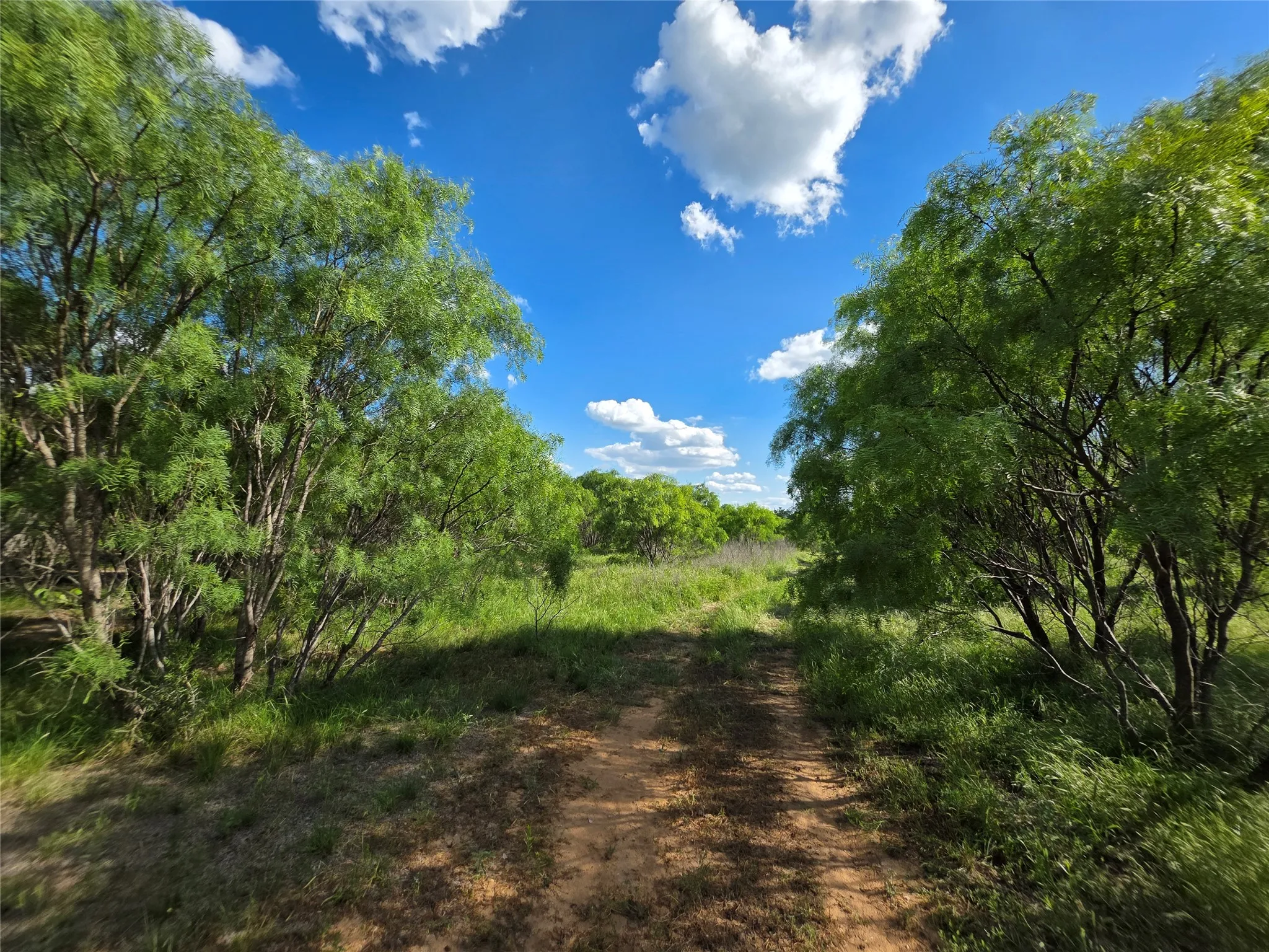 Ranch For Sale in Brown County , 3201 County Road 612, Bangs, Texas 76823, 0, 0, Garage spaces, 0 Sqft, built in 0, mls#21259981, Real Estate Agent in Bangs, Homes For Sale in Brown county, Homes For Sale in Bangs, Realtor in Bangs Texas, Real Estate Brokerage Independent Realty Texas, Luminita Cordes Realtor